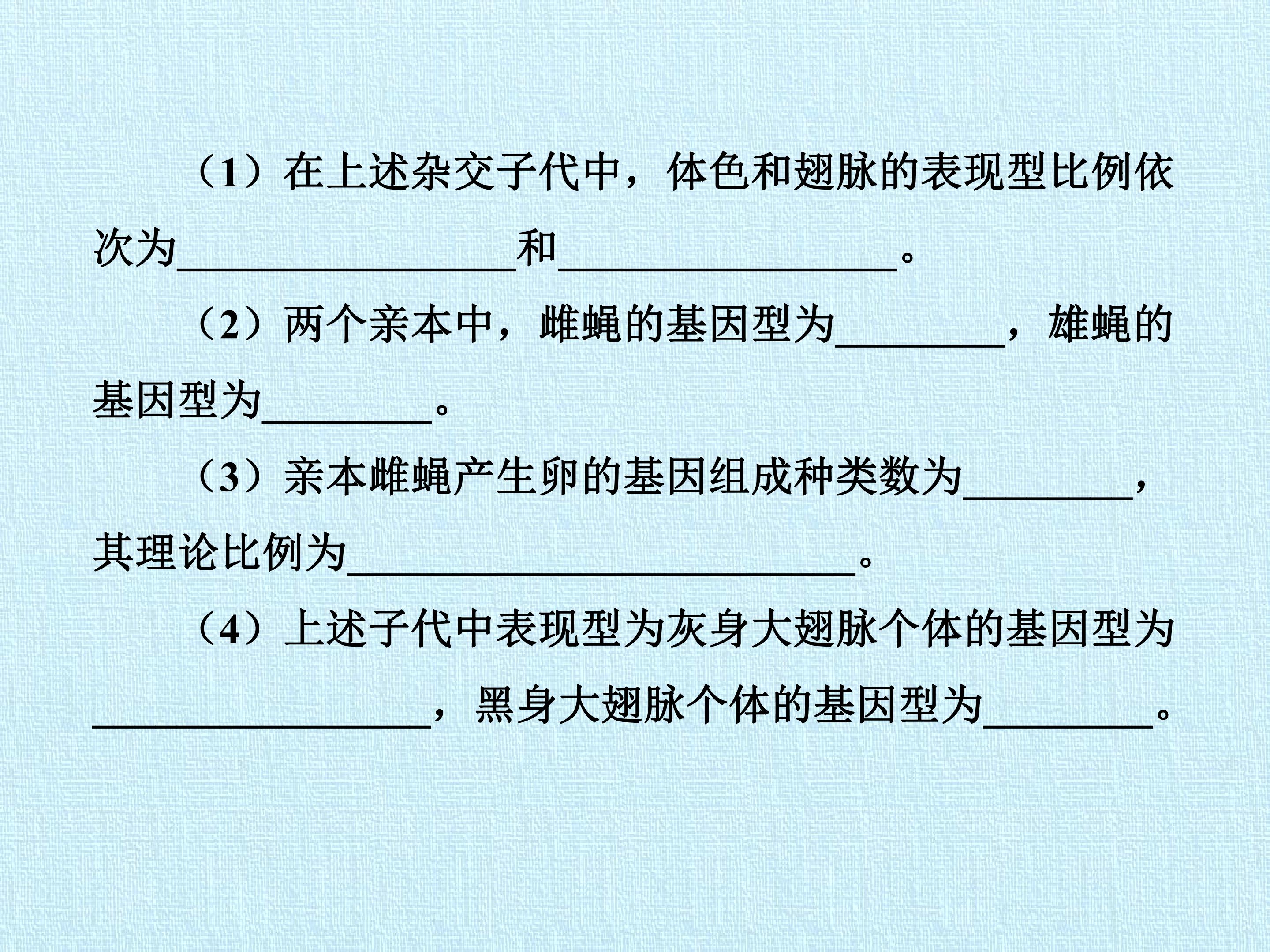 95.jpg