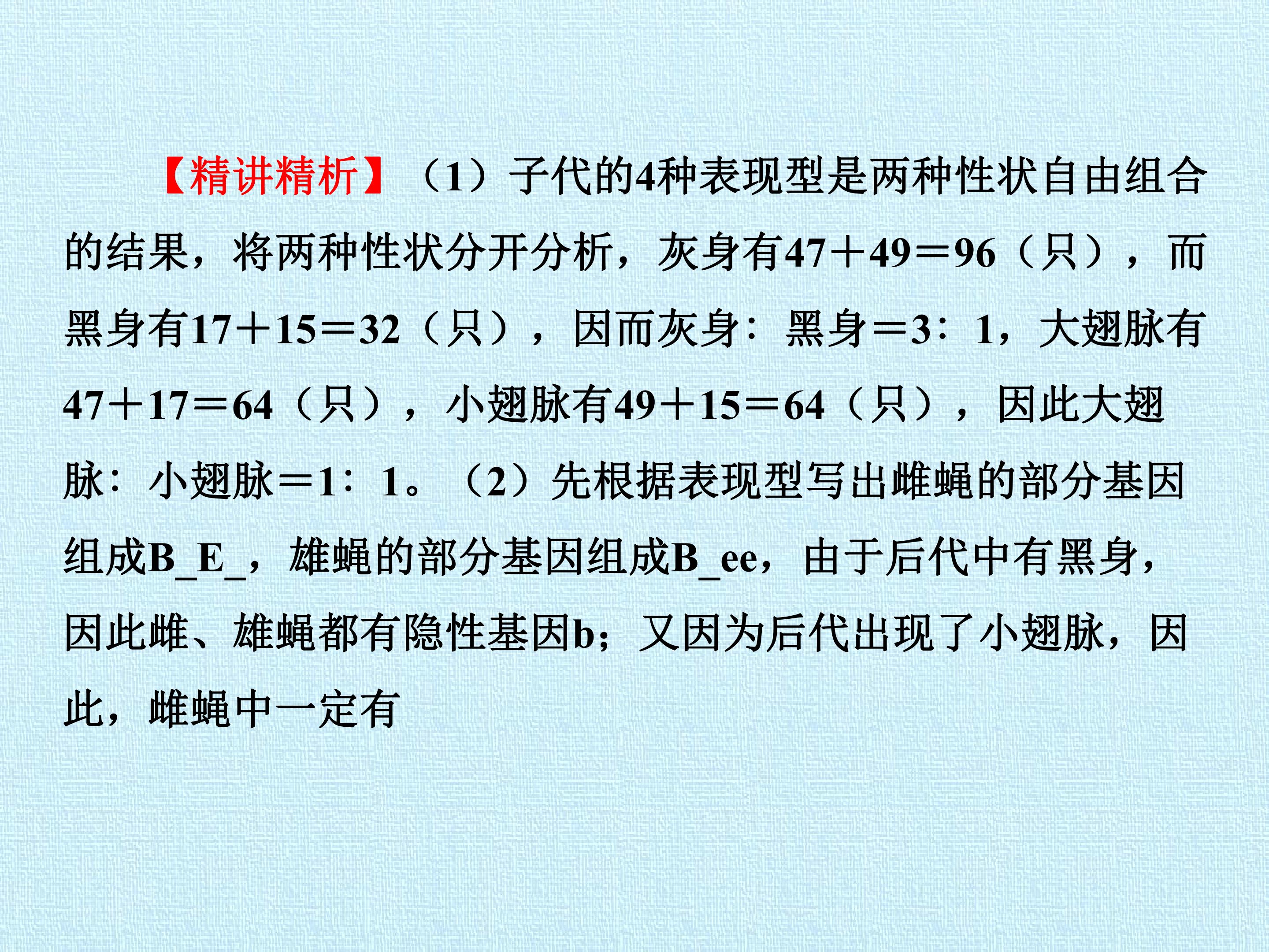 97.jpg