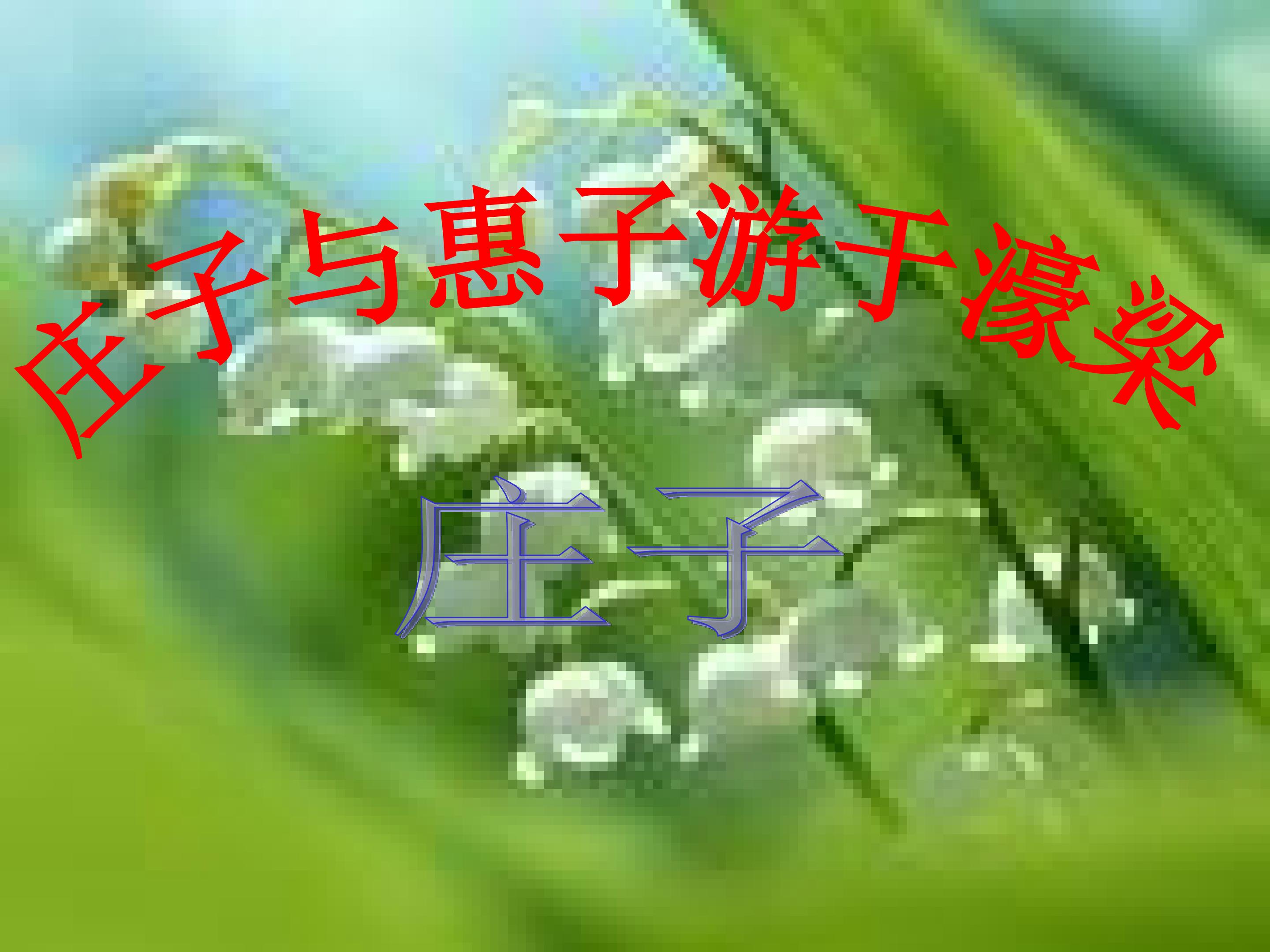 58.jpg