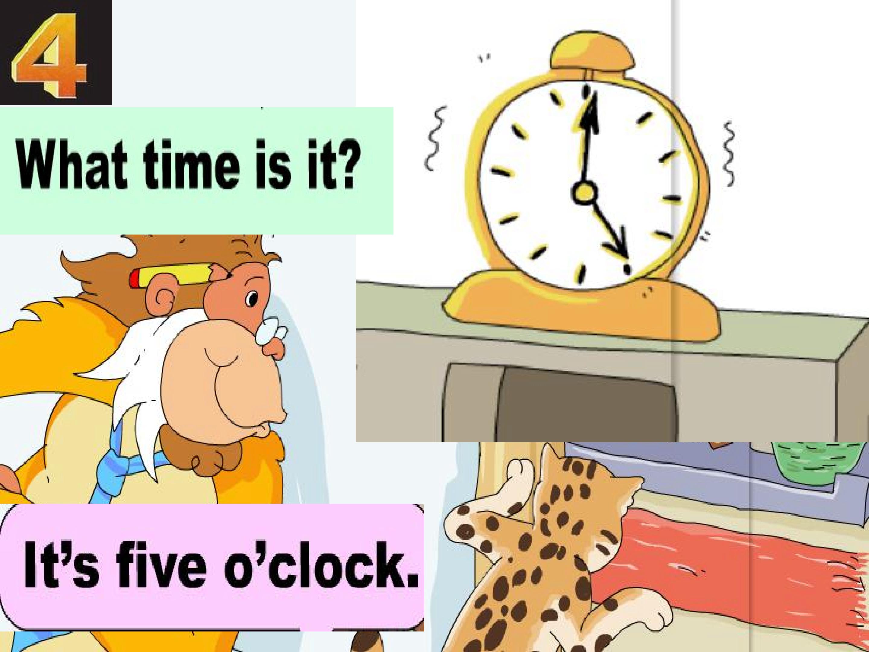 25.jpg