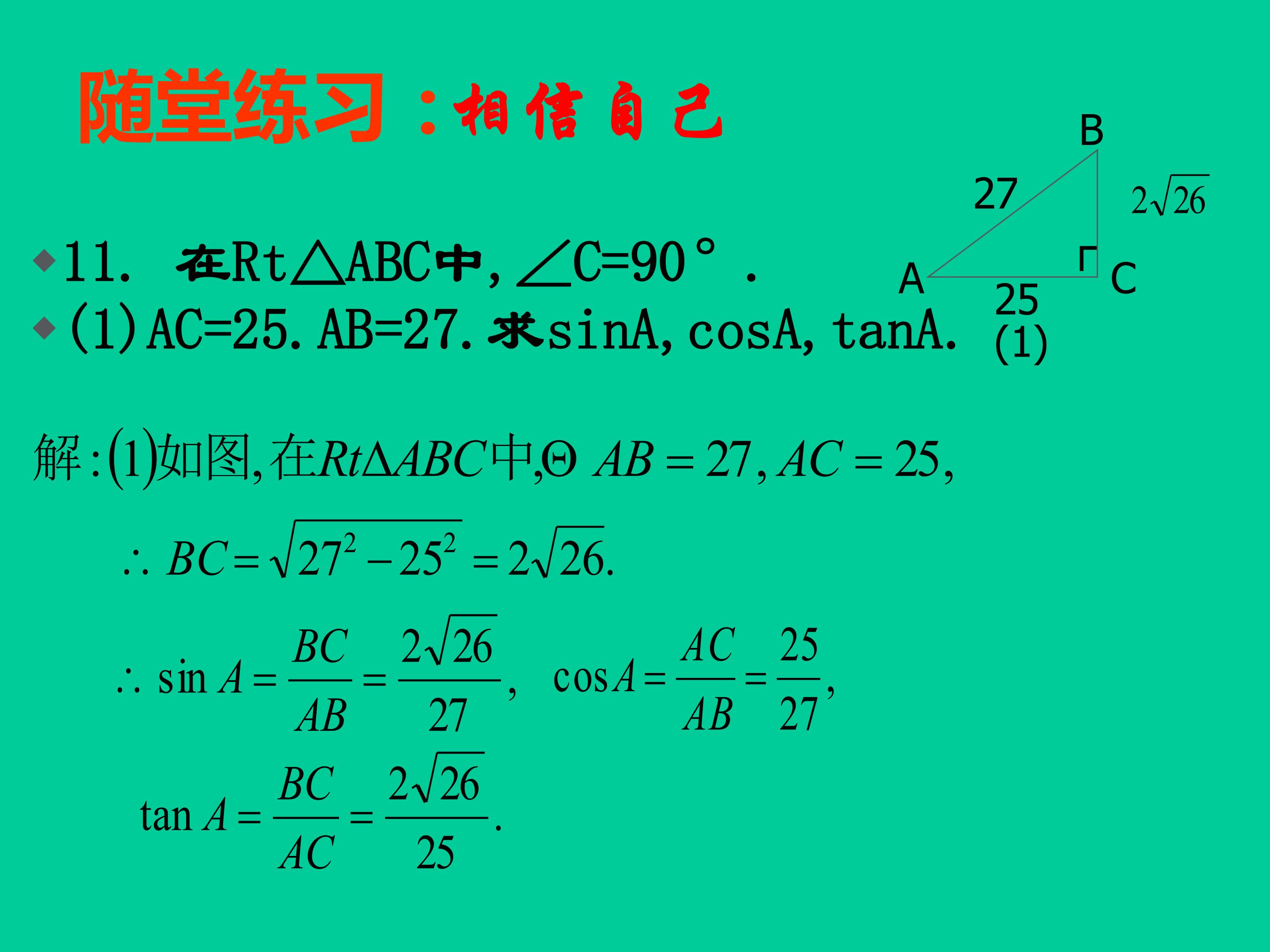 46.jpg