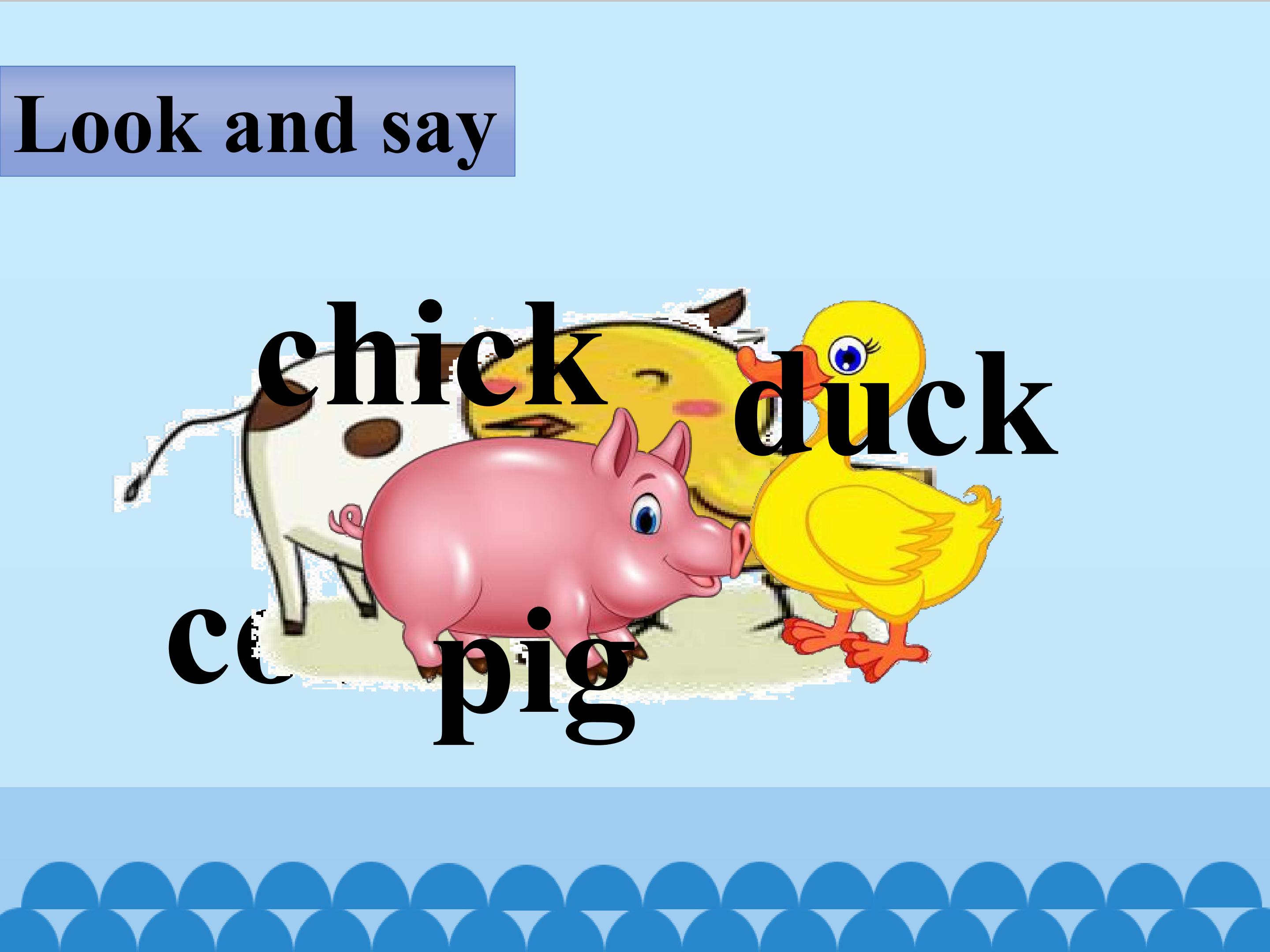 3.jpg