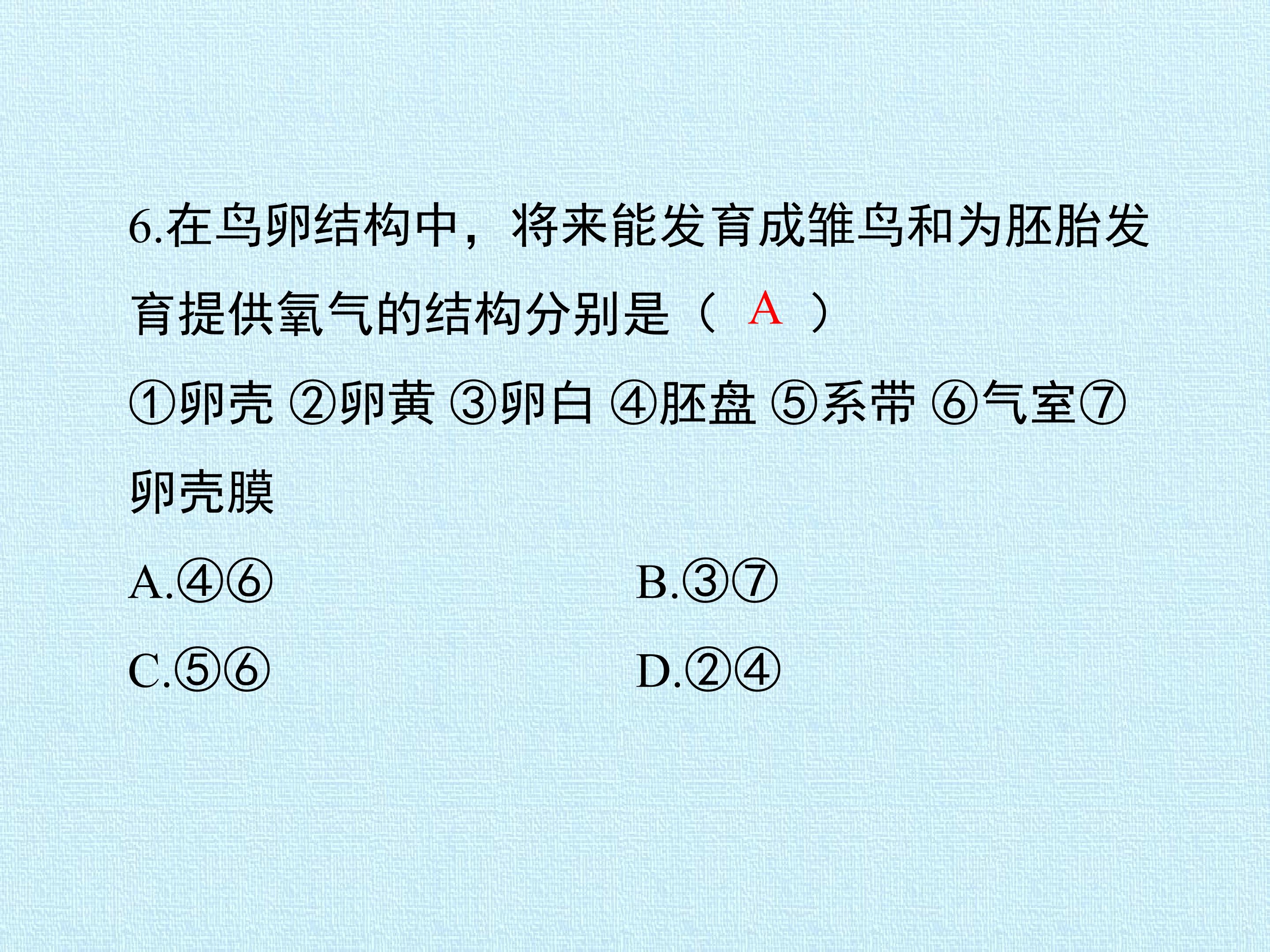 38.jpg