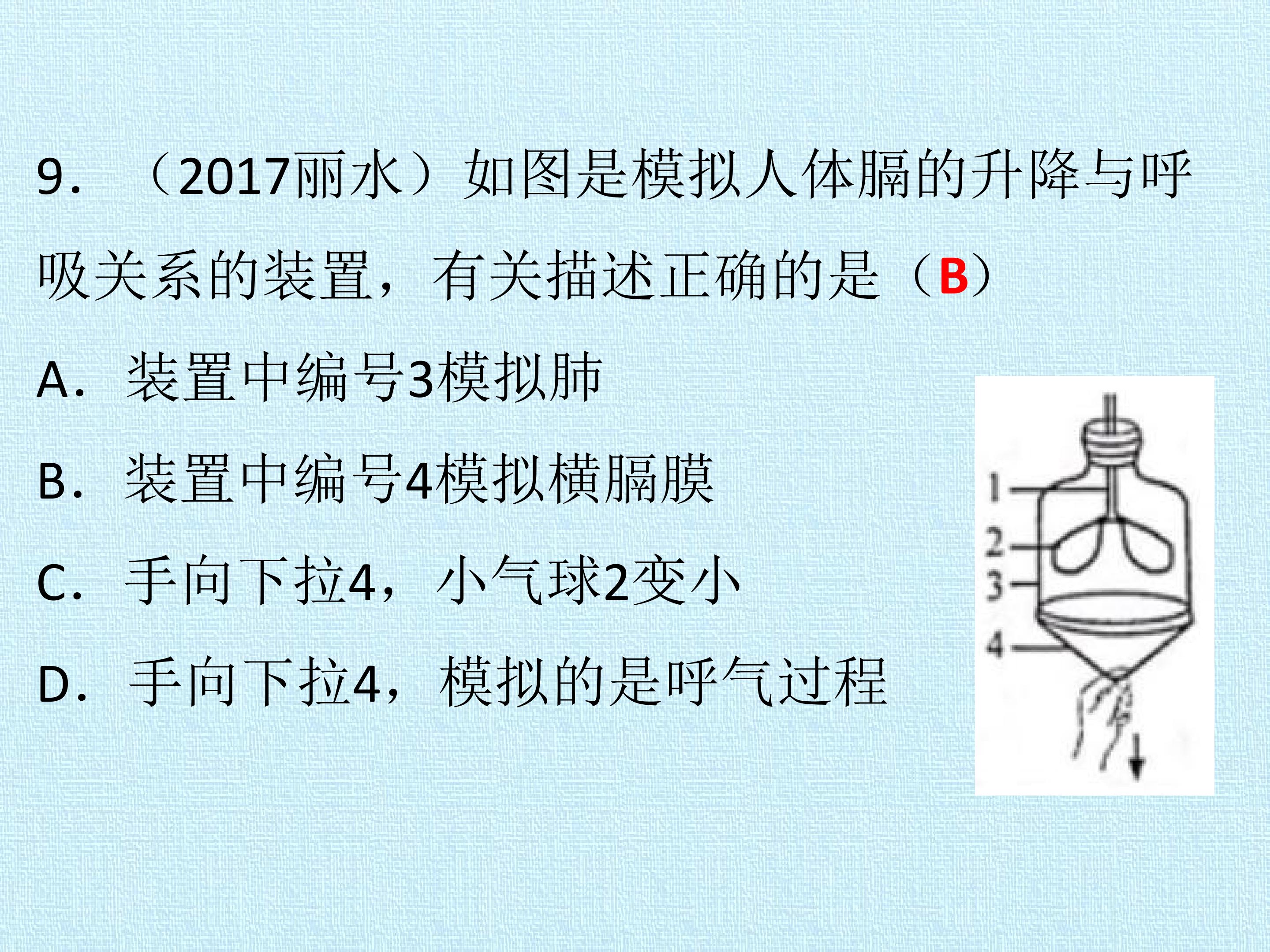38.jpg