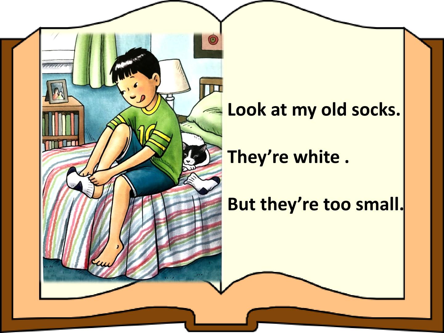 23.jpg