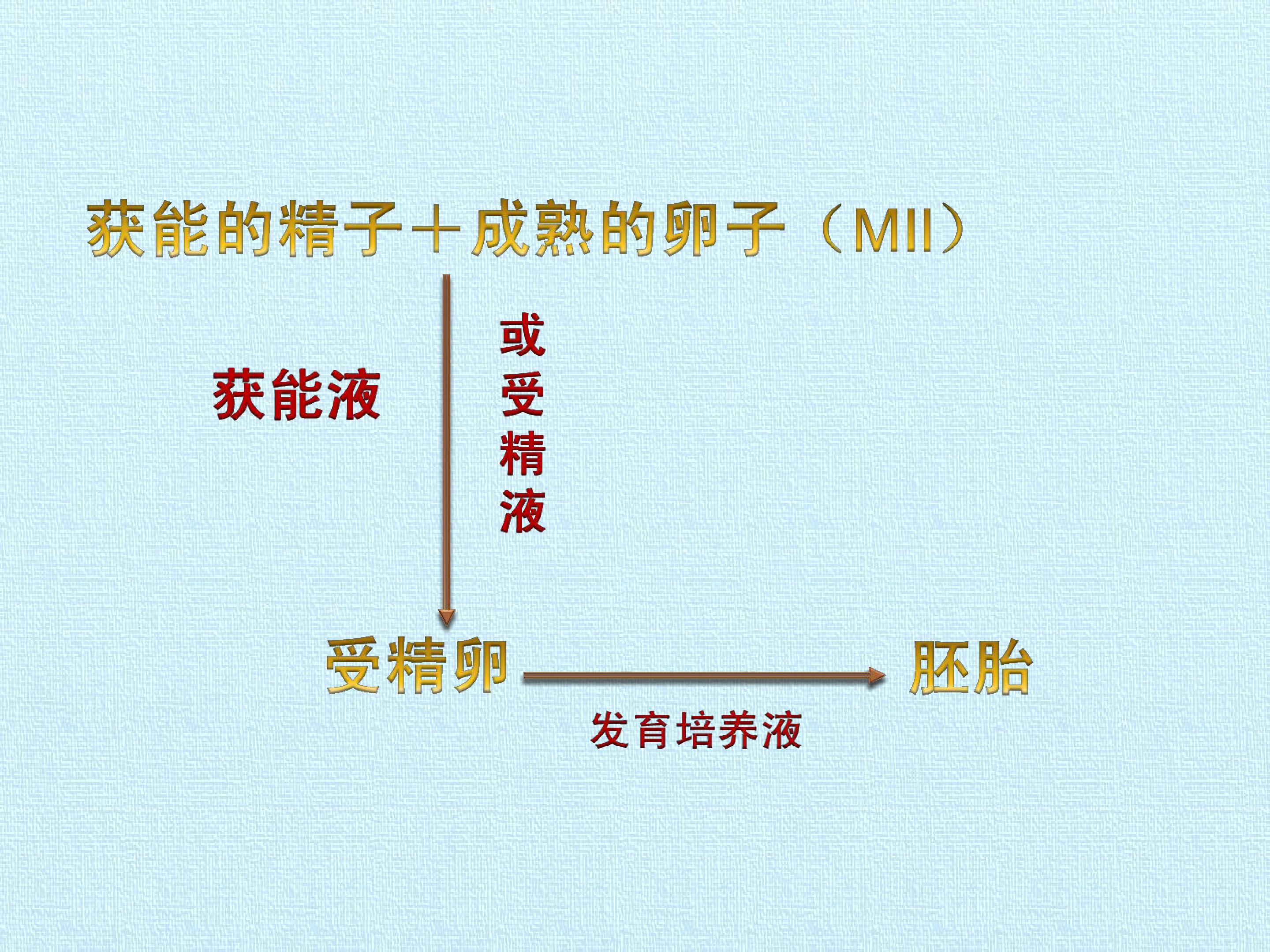106.jpg