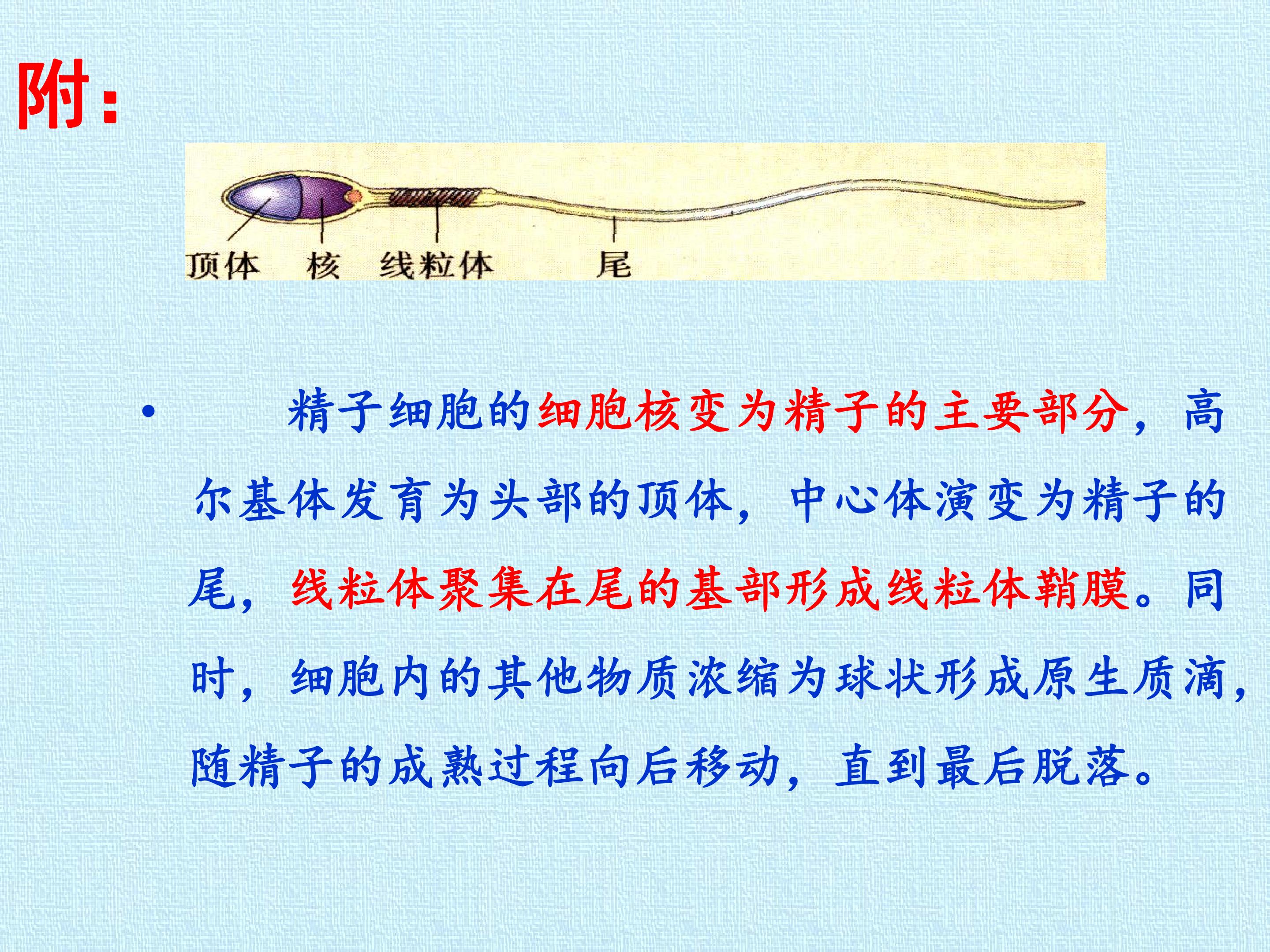 48.jpg