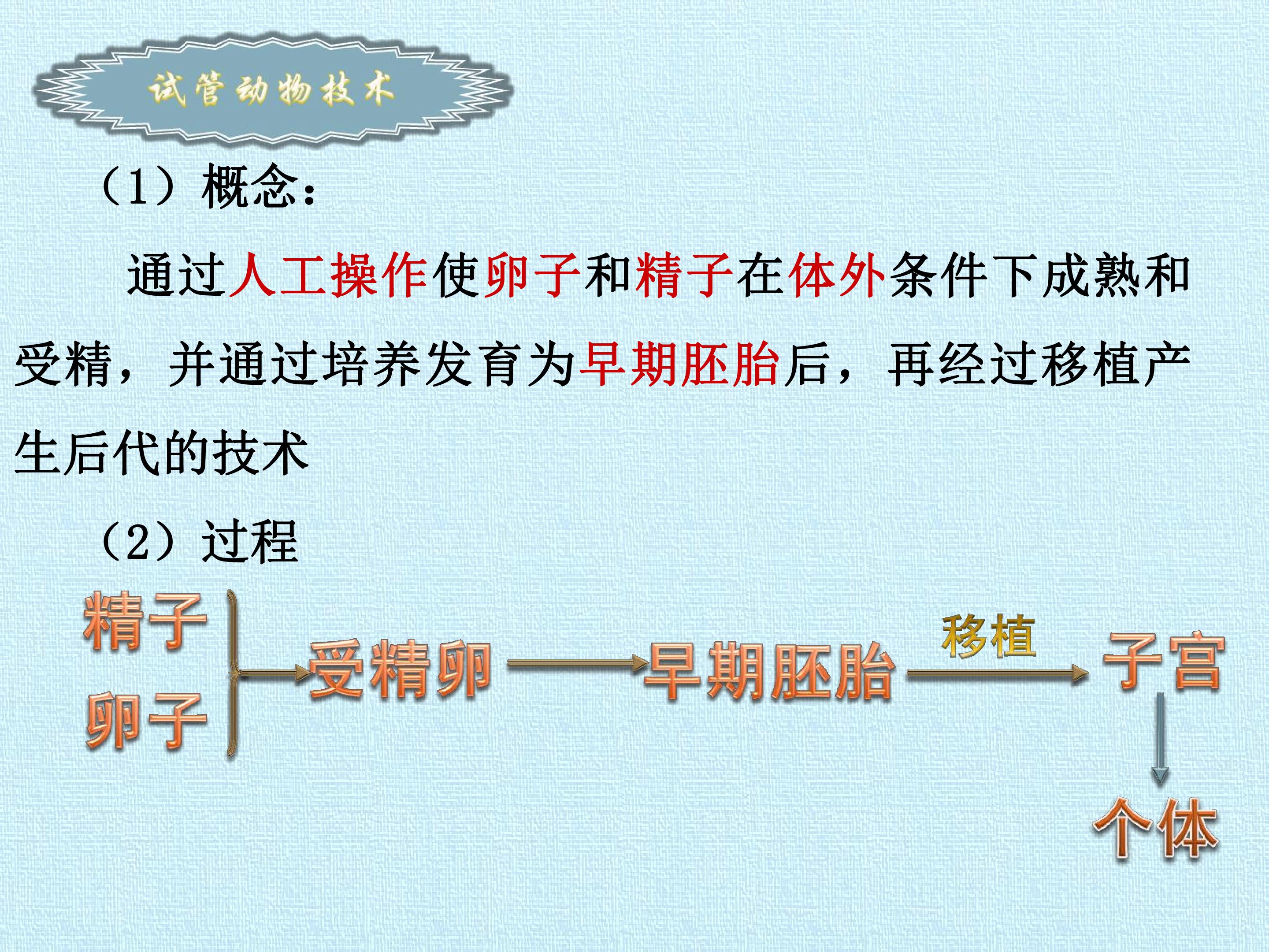 96.jpg
