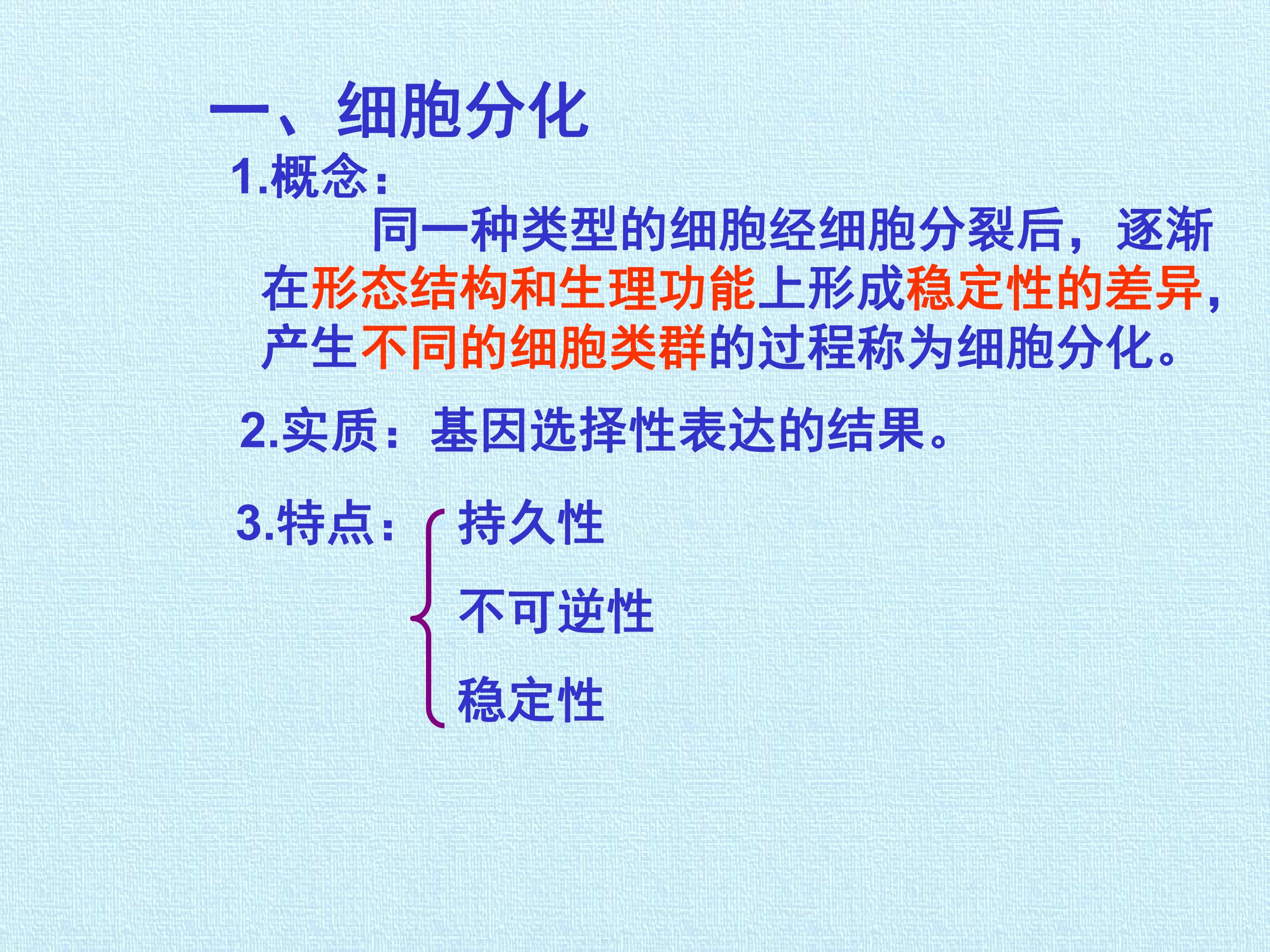 107.jpg
