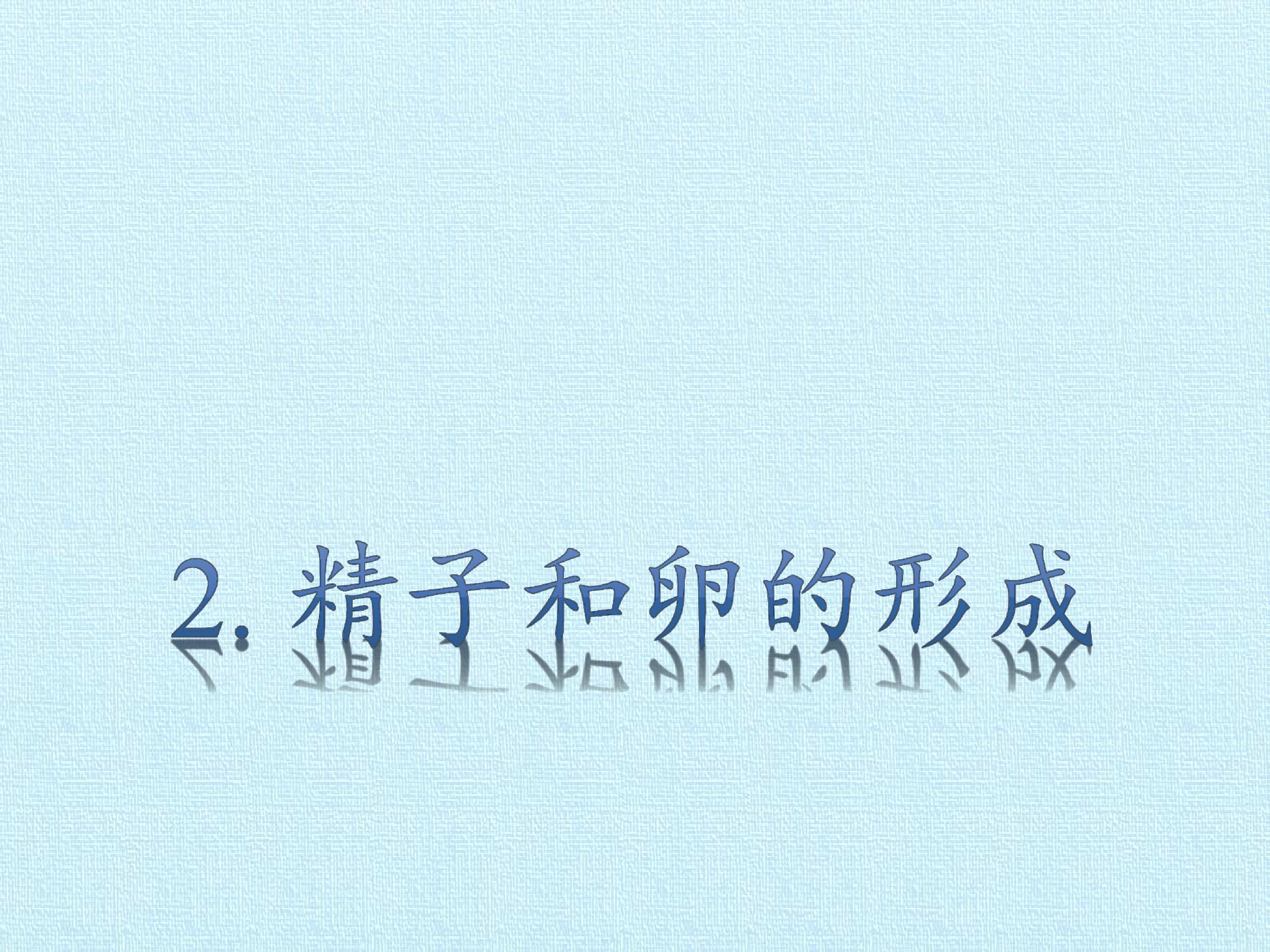 62.jpg