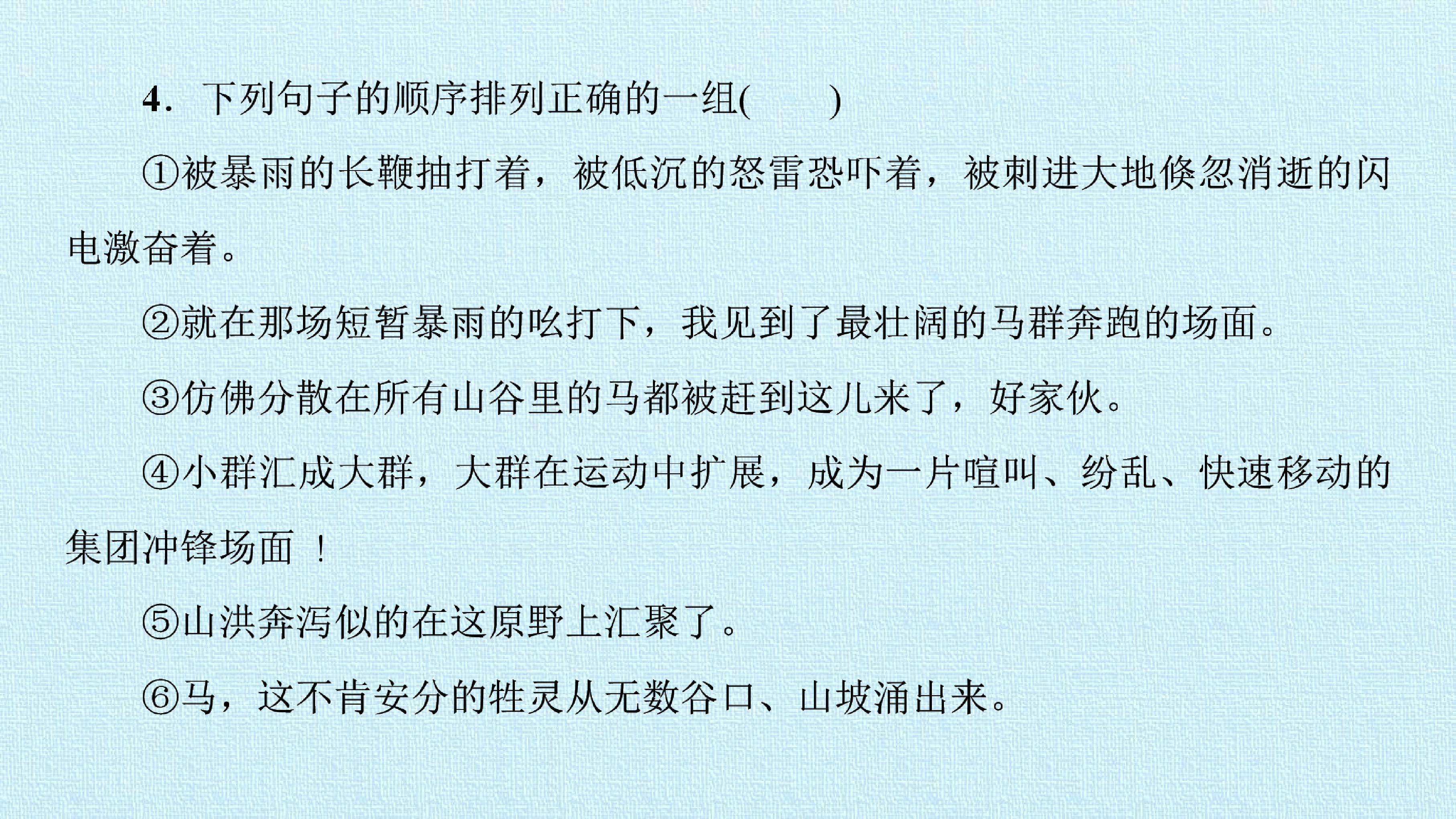 51.jpg