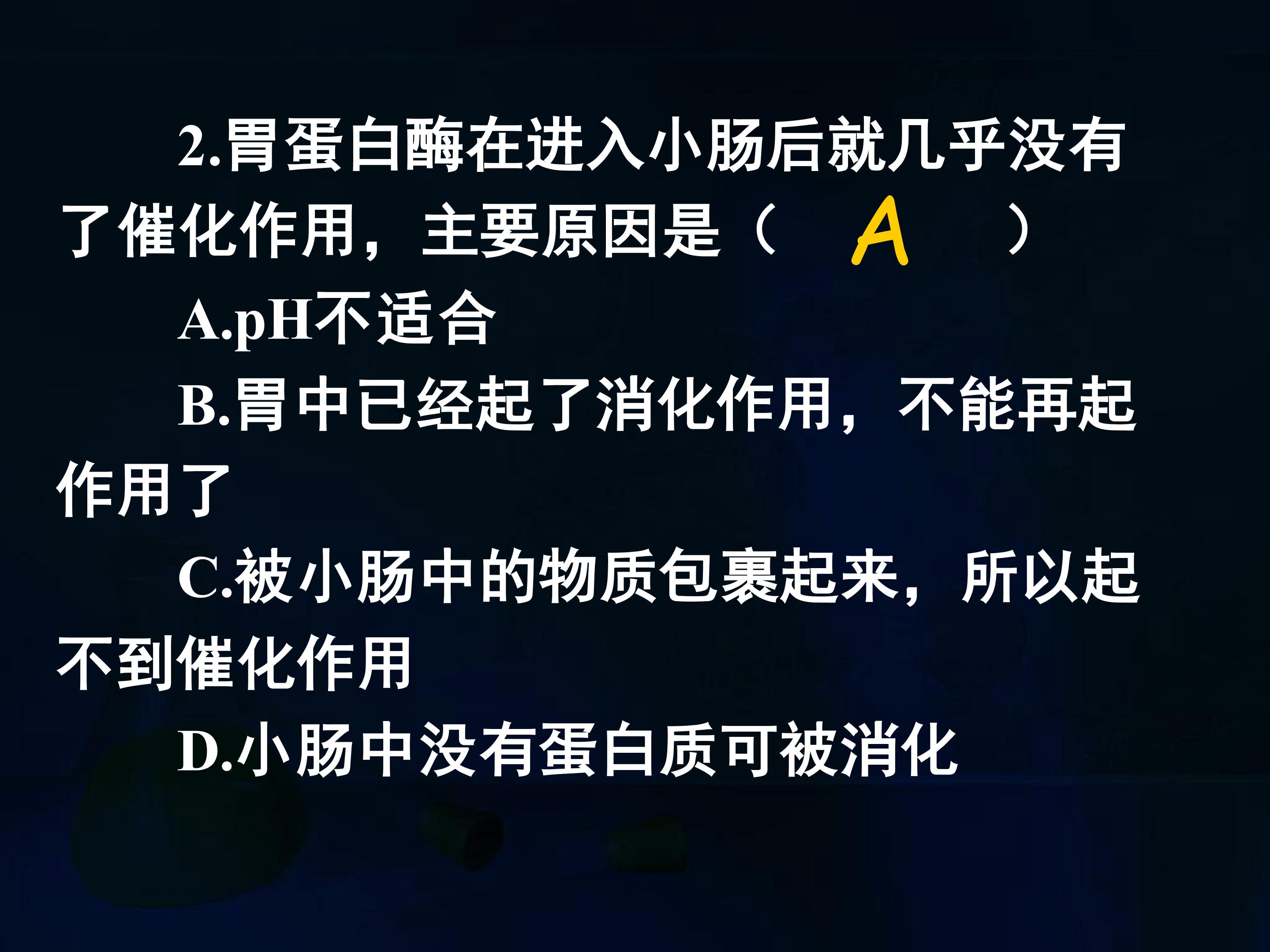 17.jpg