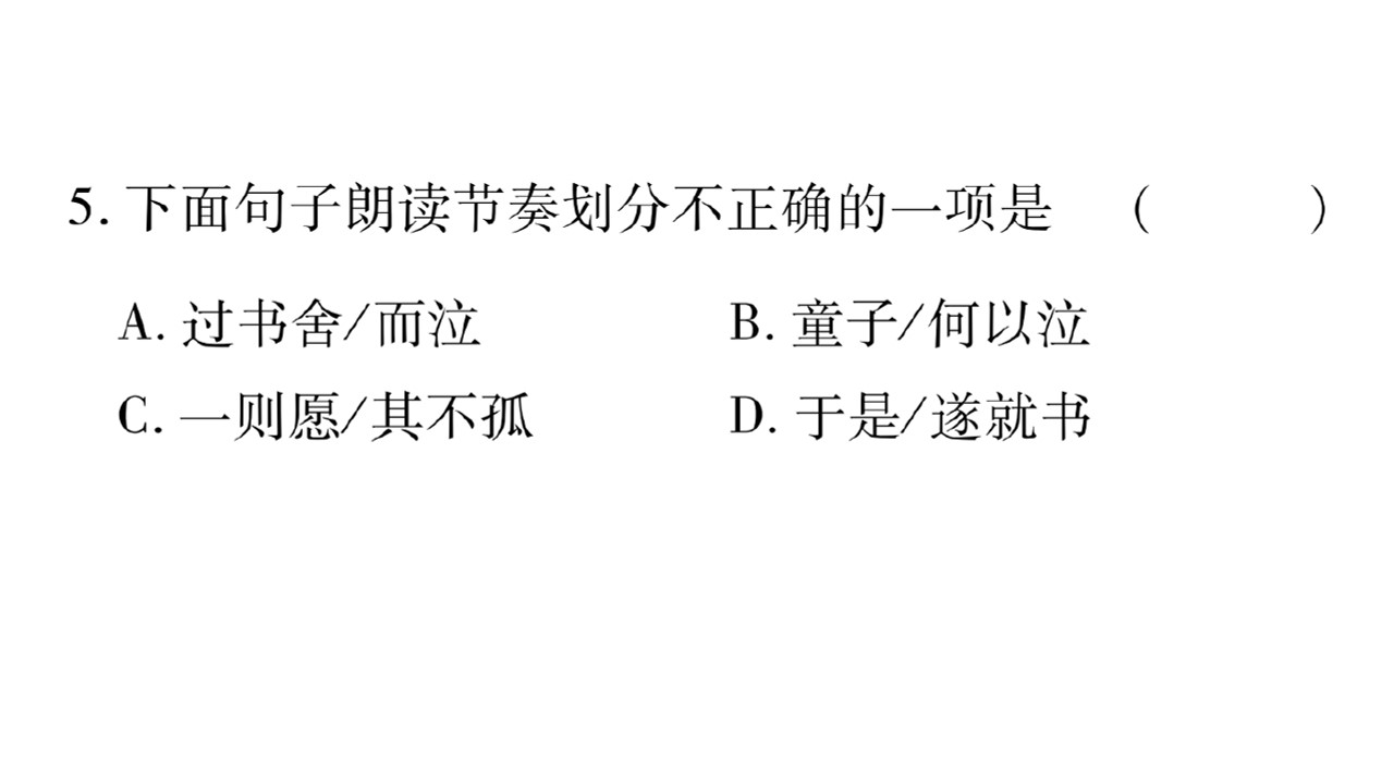 131.jpg