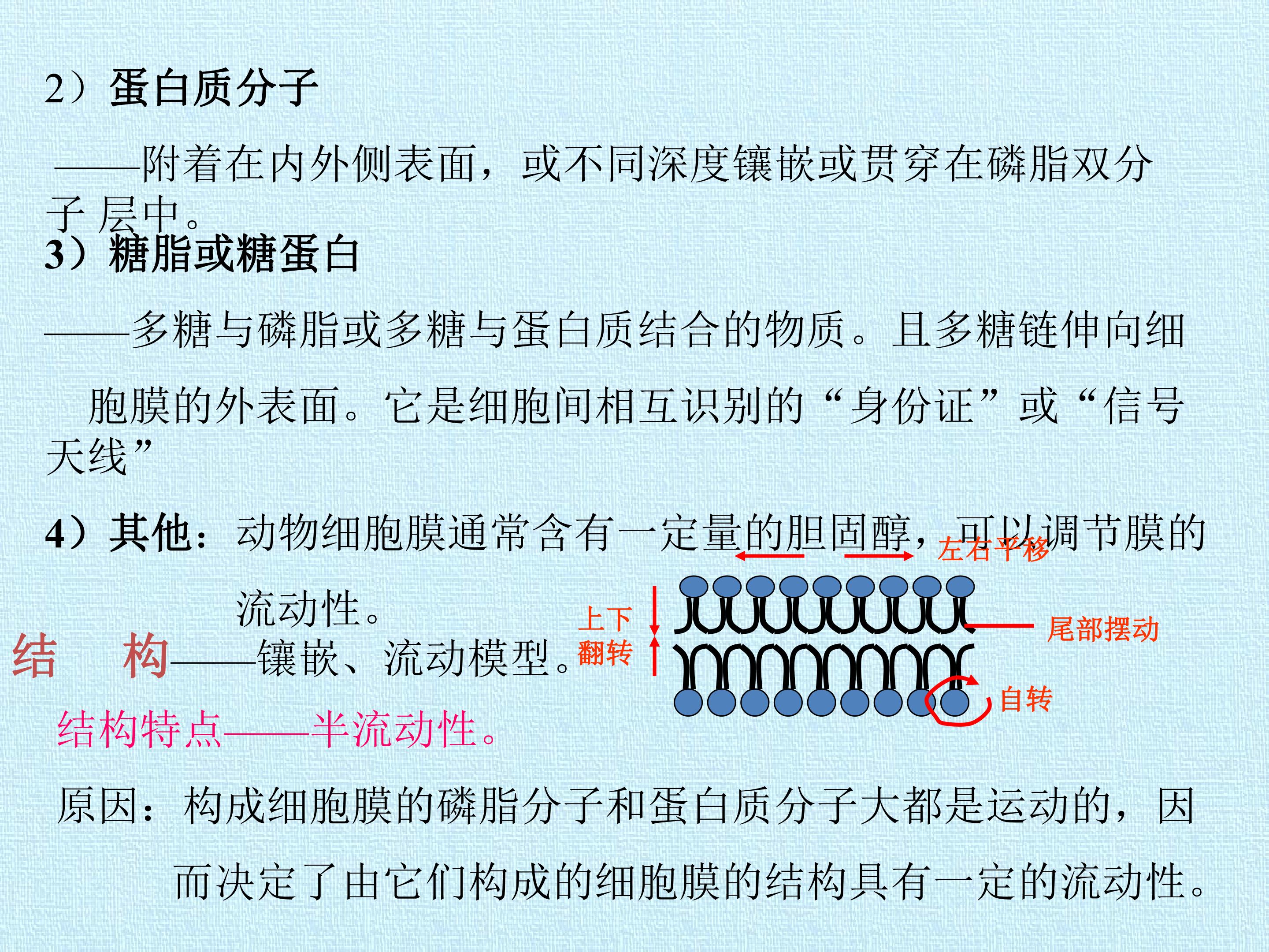 78.jpg