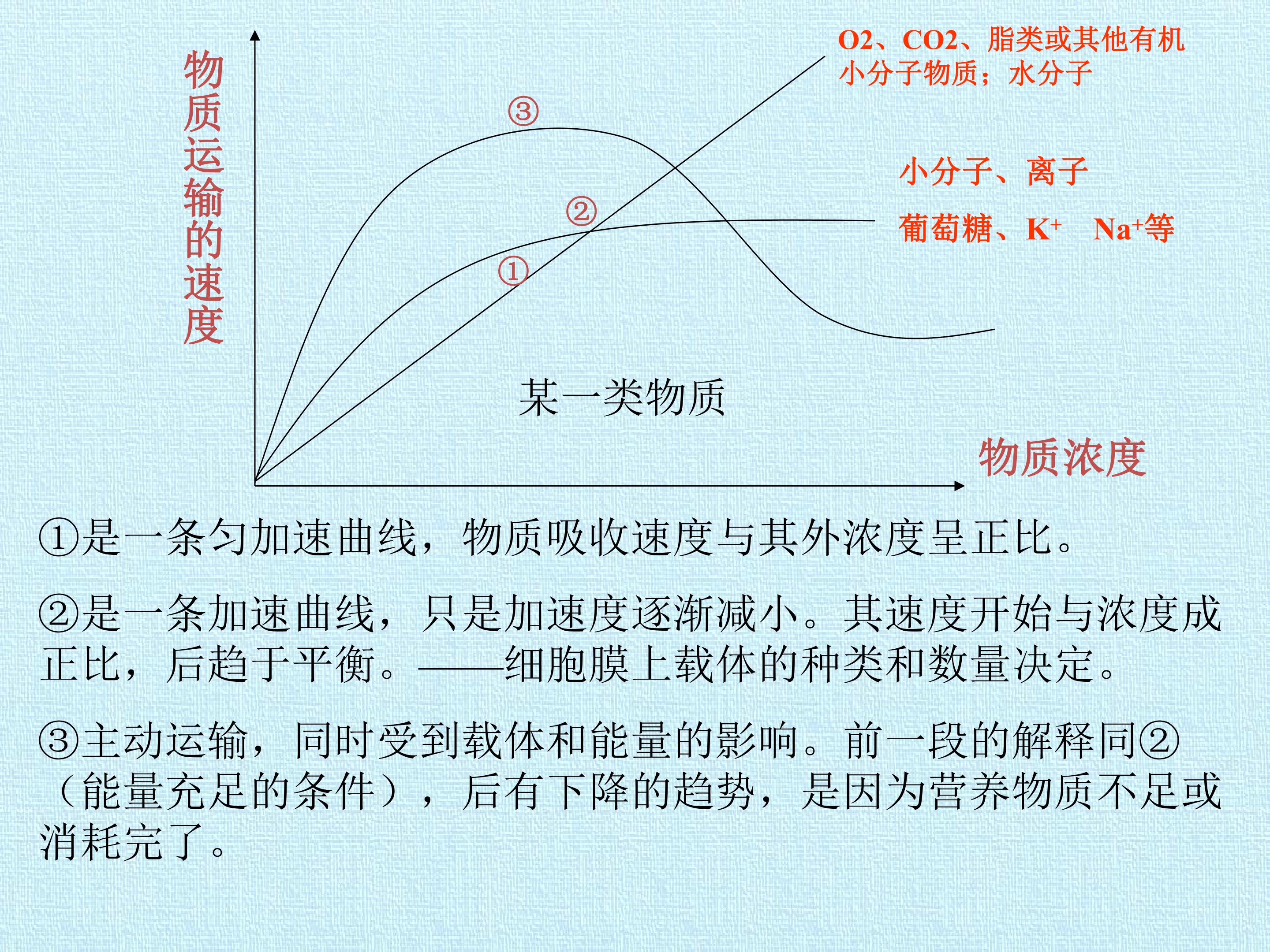 83.jpg