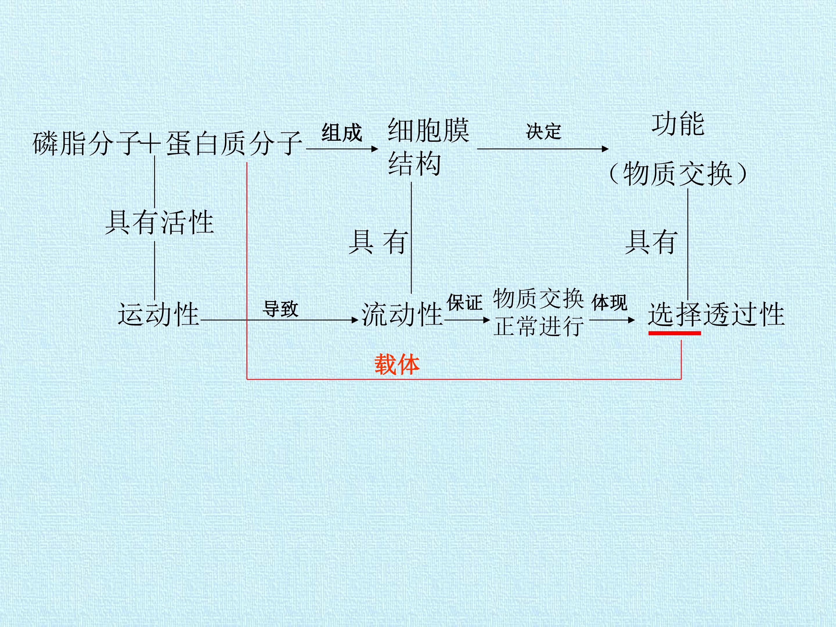 85.jpg