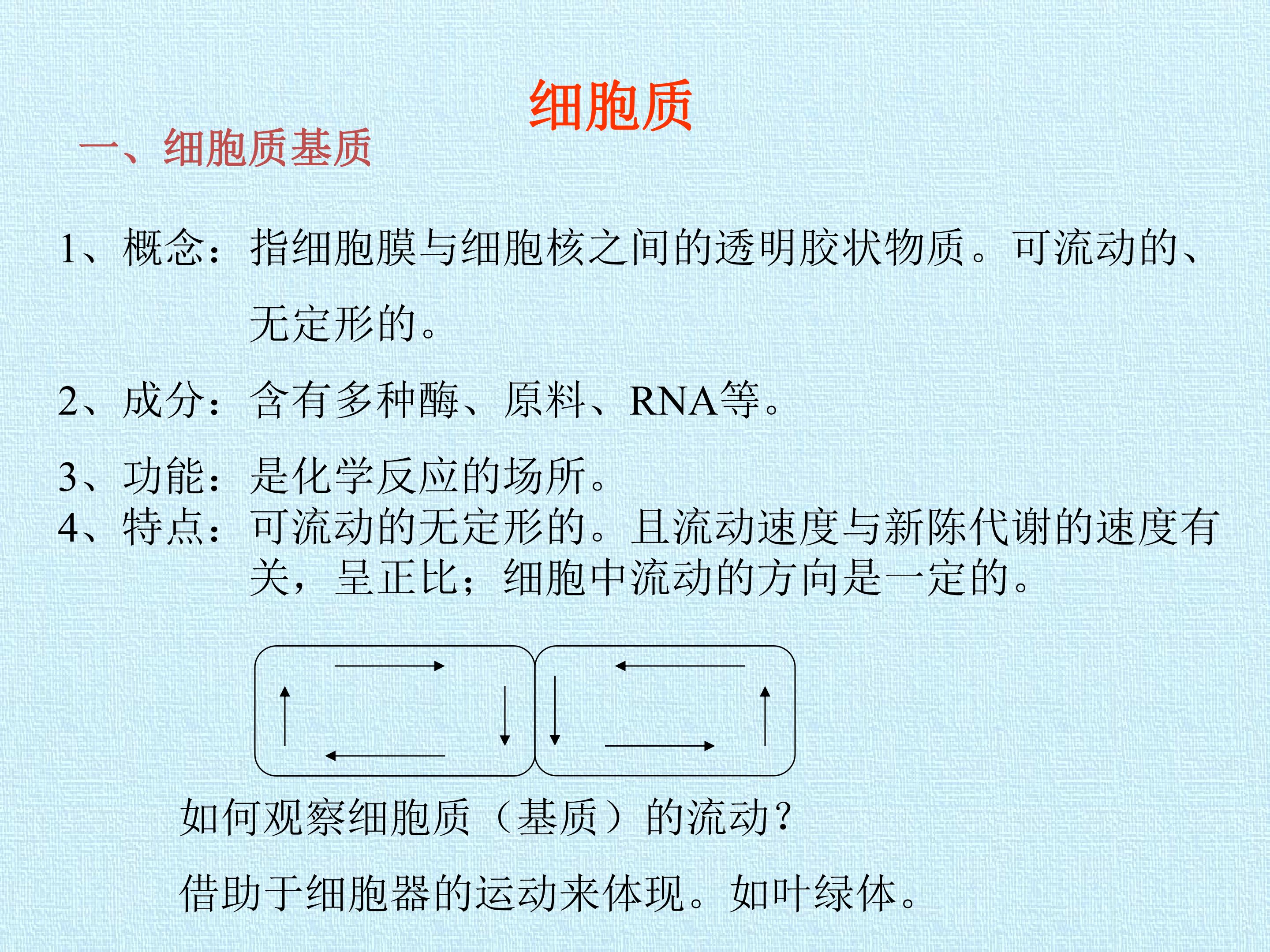 87.jpg