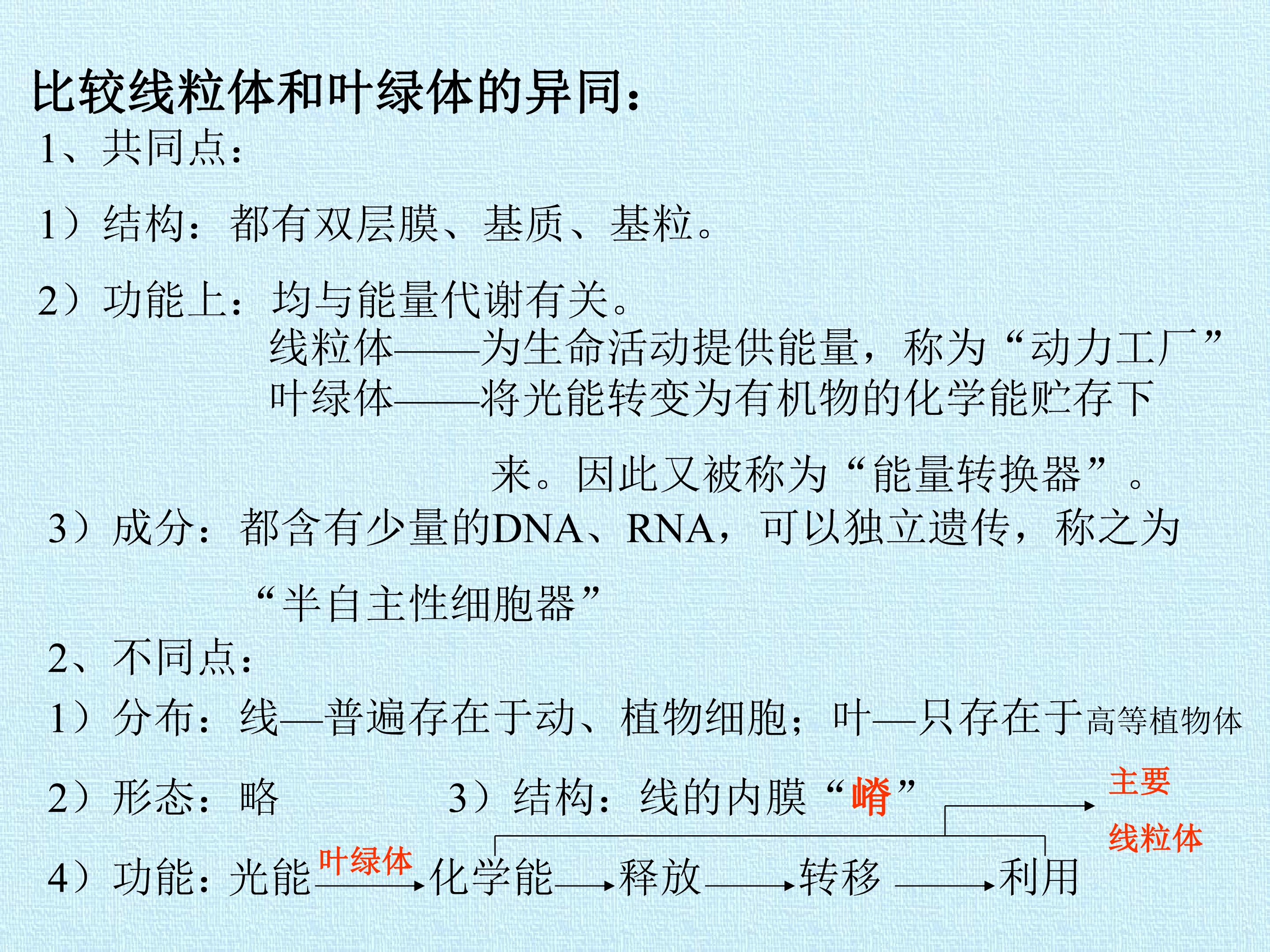 91.jpg