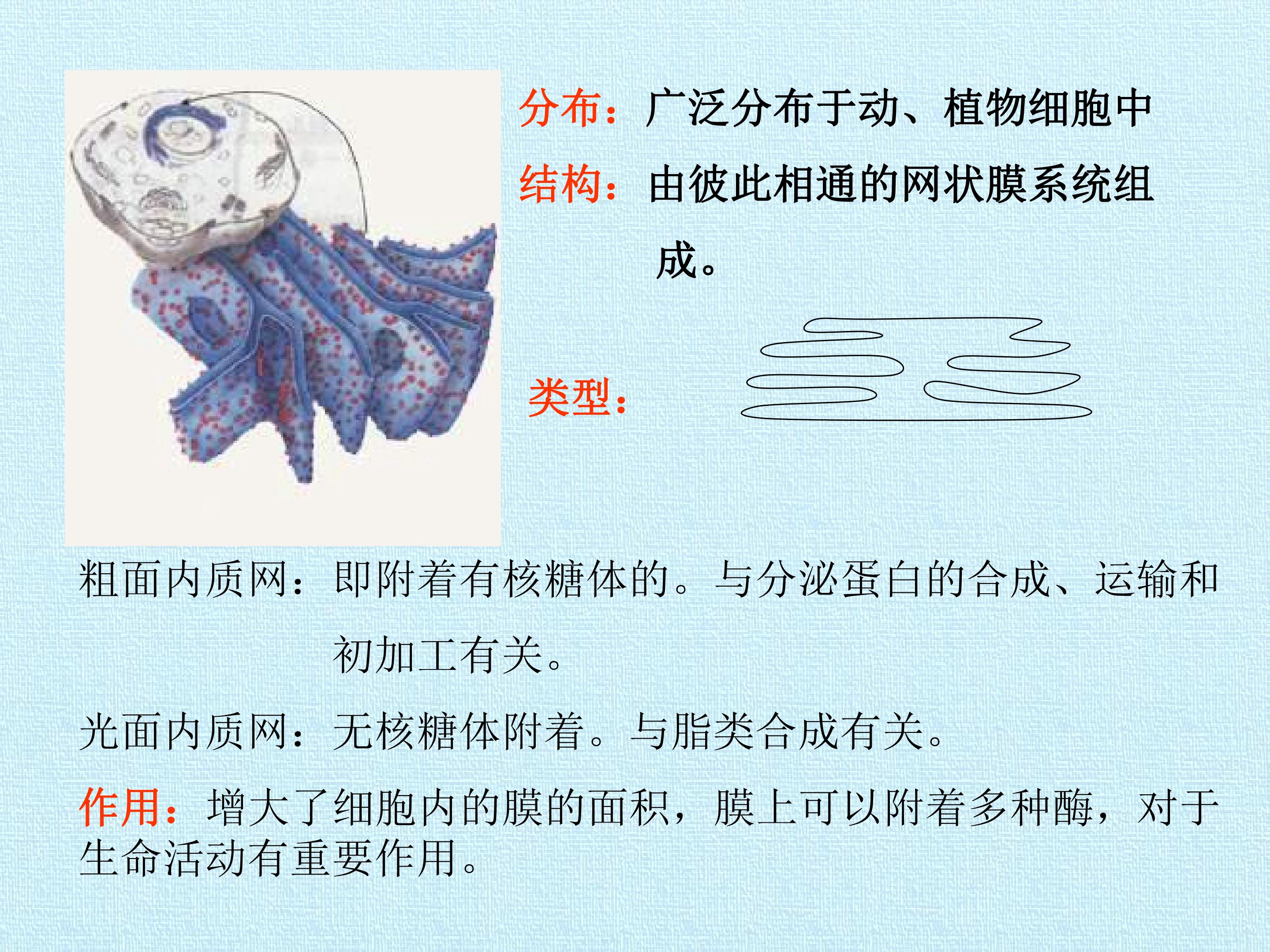 92.jpg