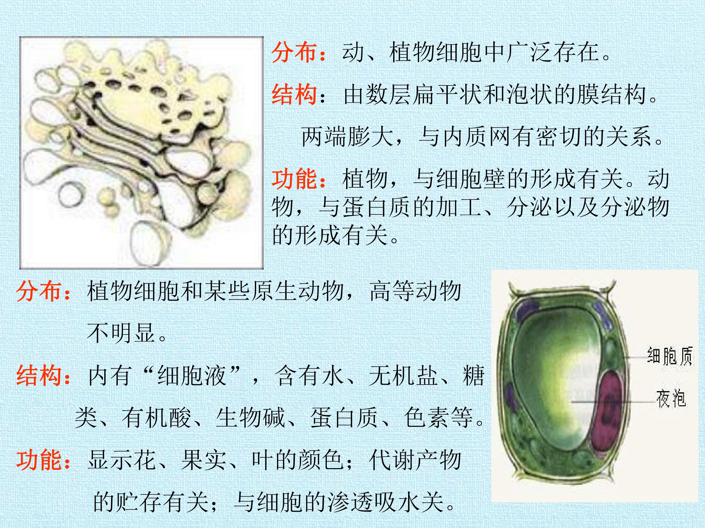 93.jpg