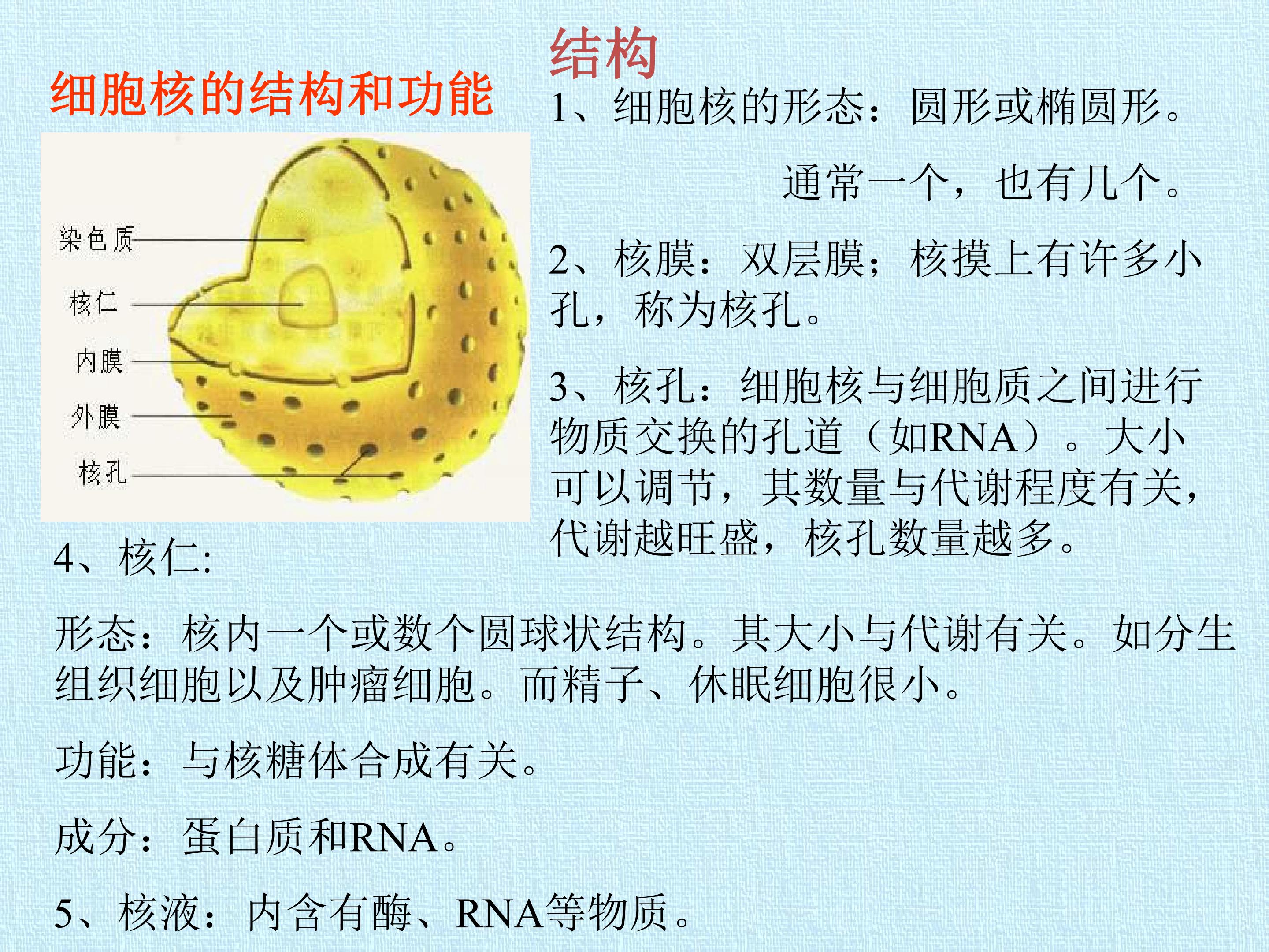 96.jpg