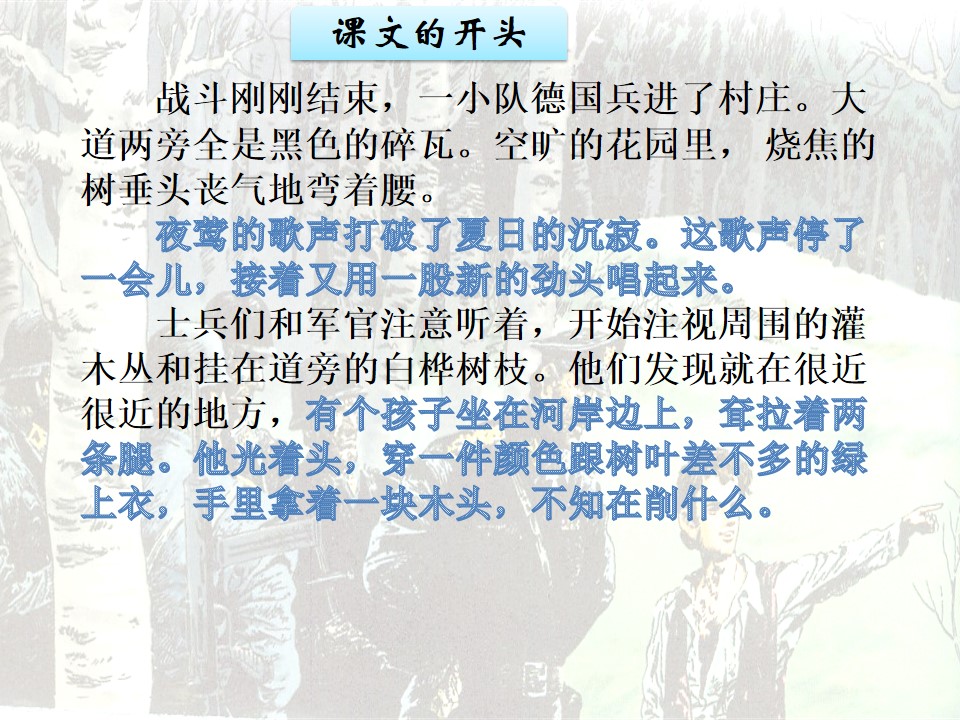 26.jpg