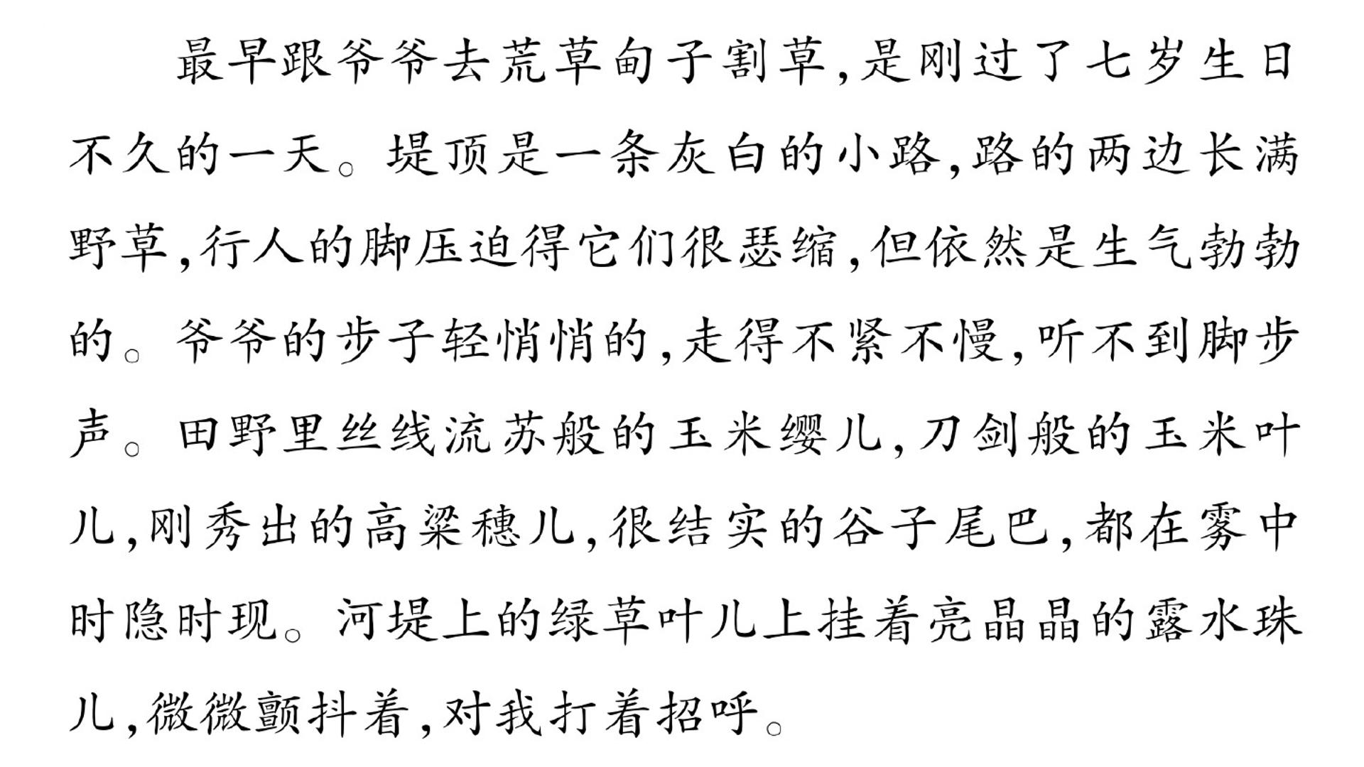 119.jpg