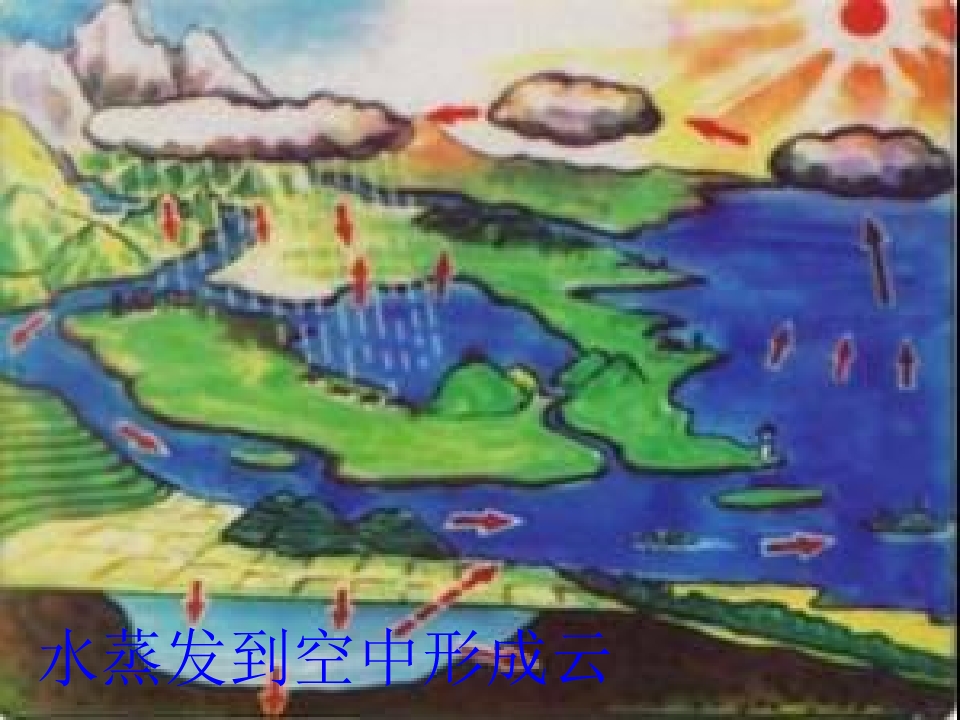 23_1562950120636.jpg