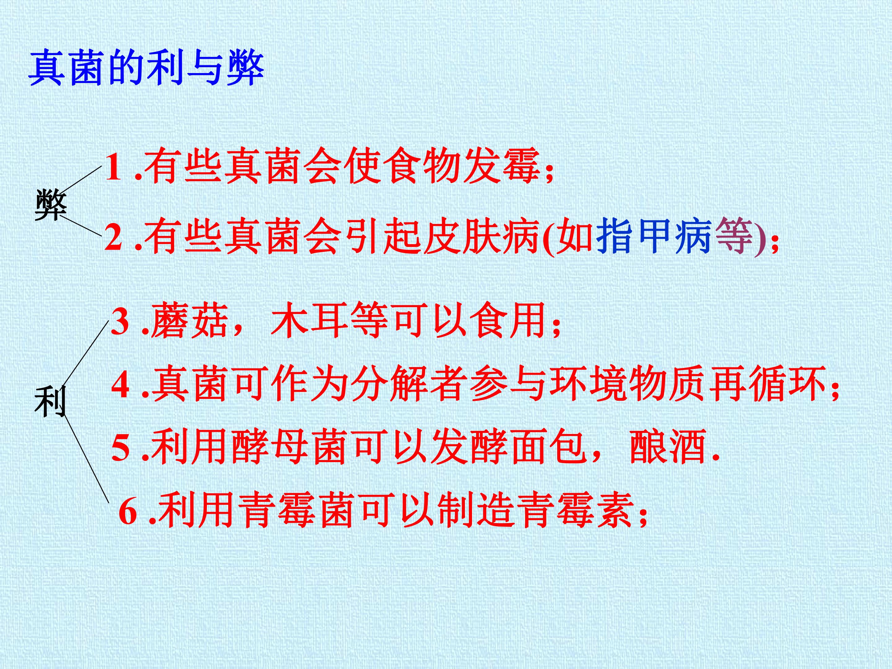 73.jpg