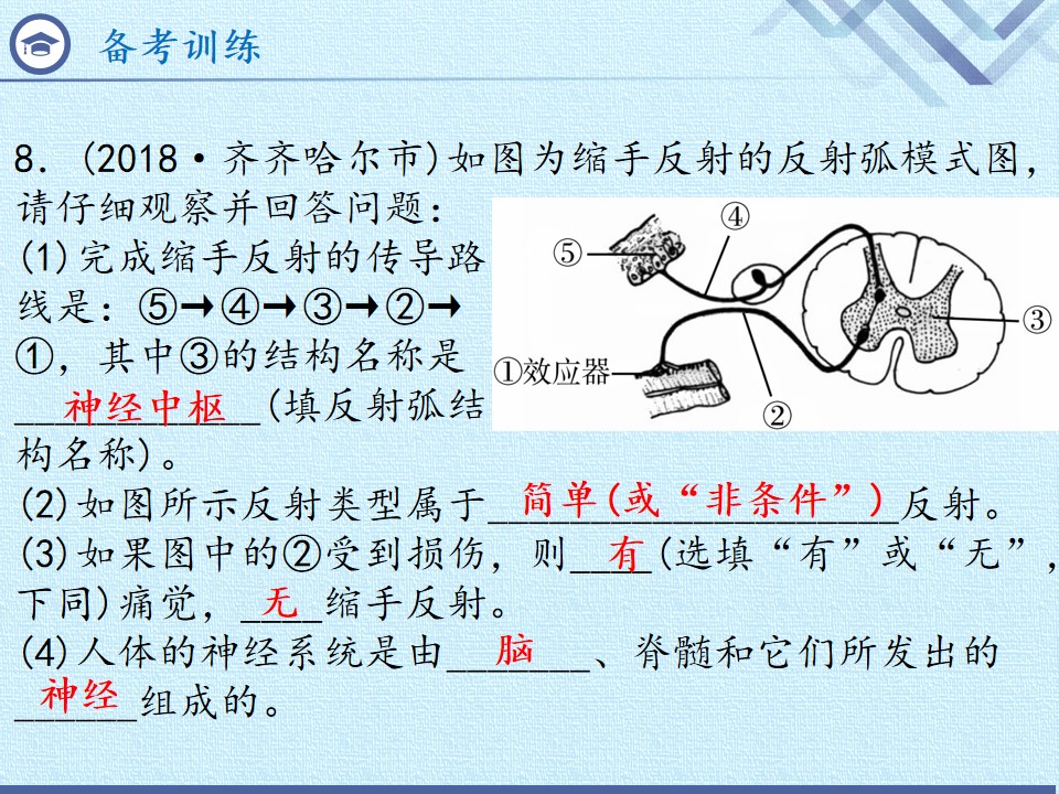 24.jpg