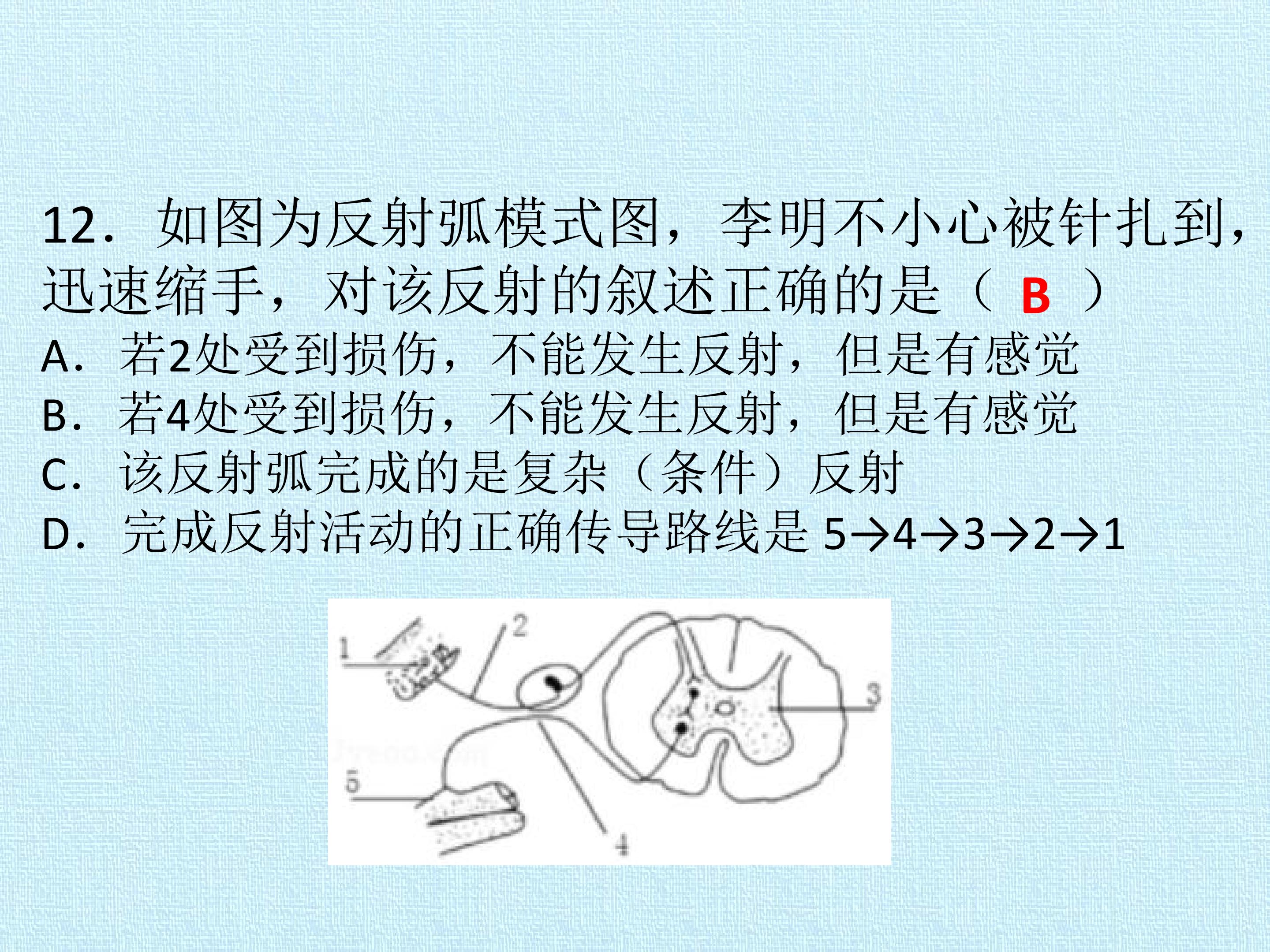 35.jpg