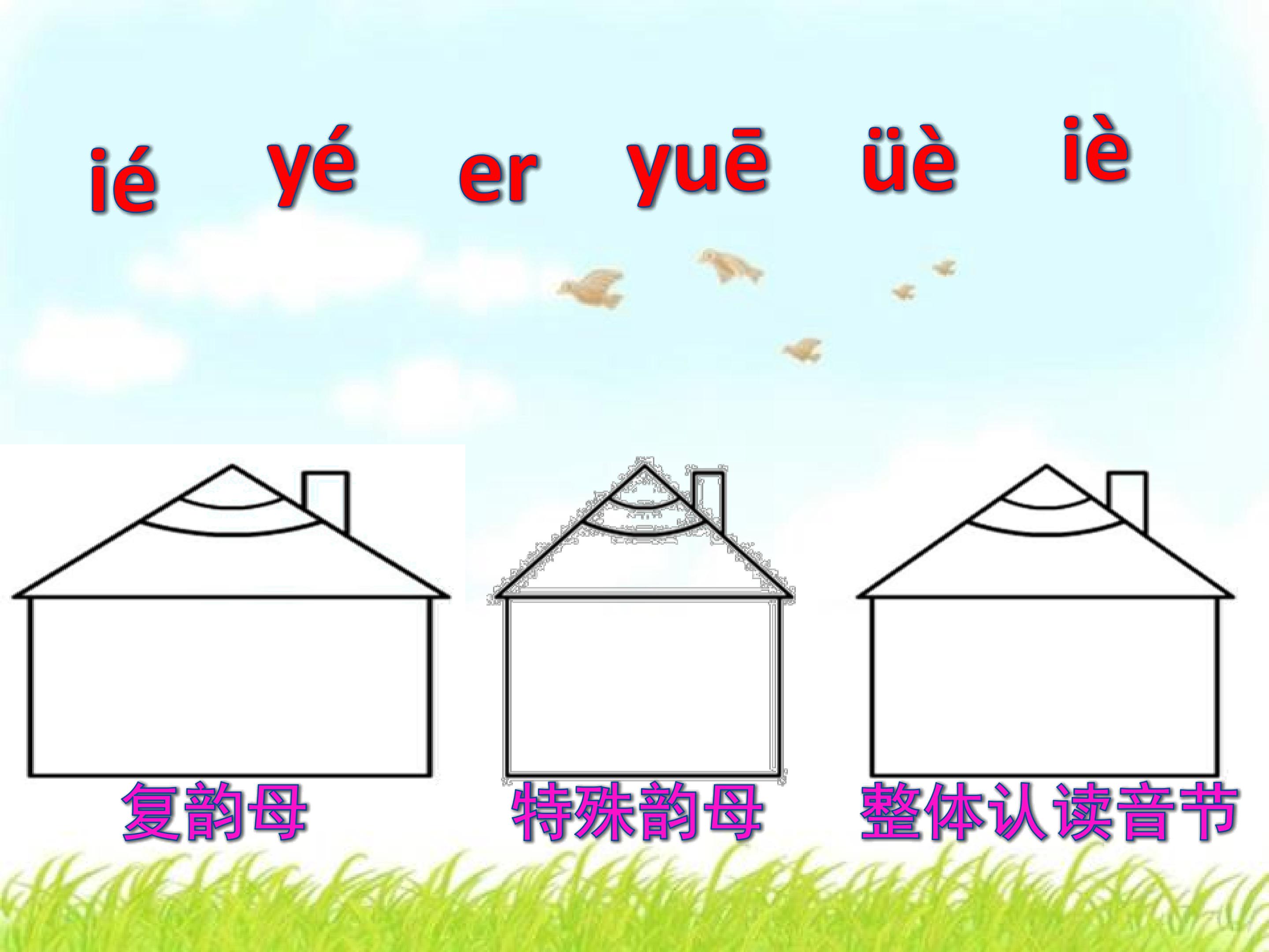 53.jpg