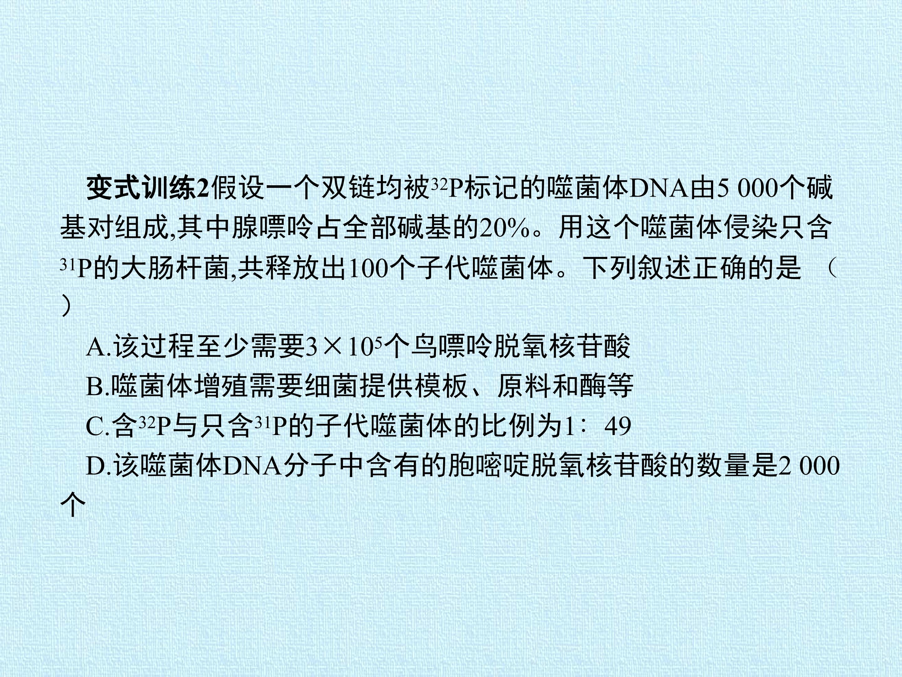 63.jpg