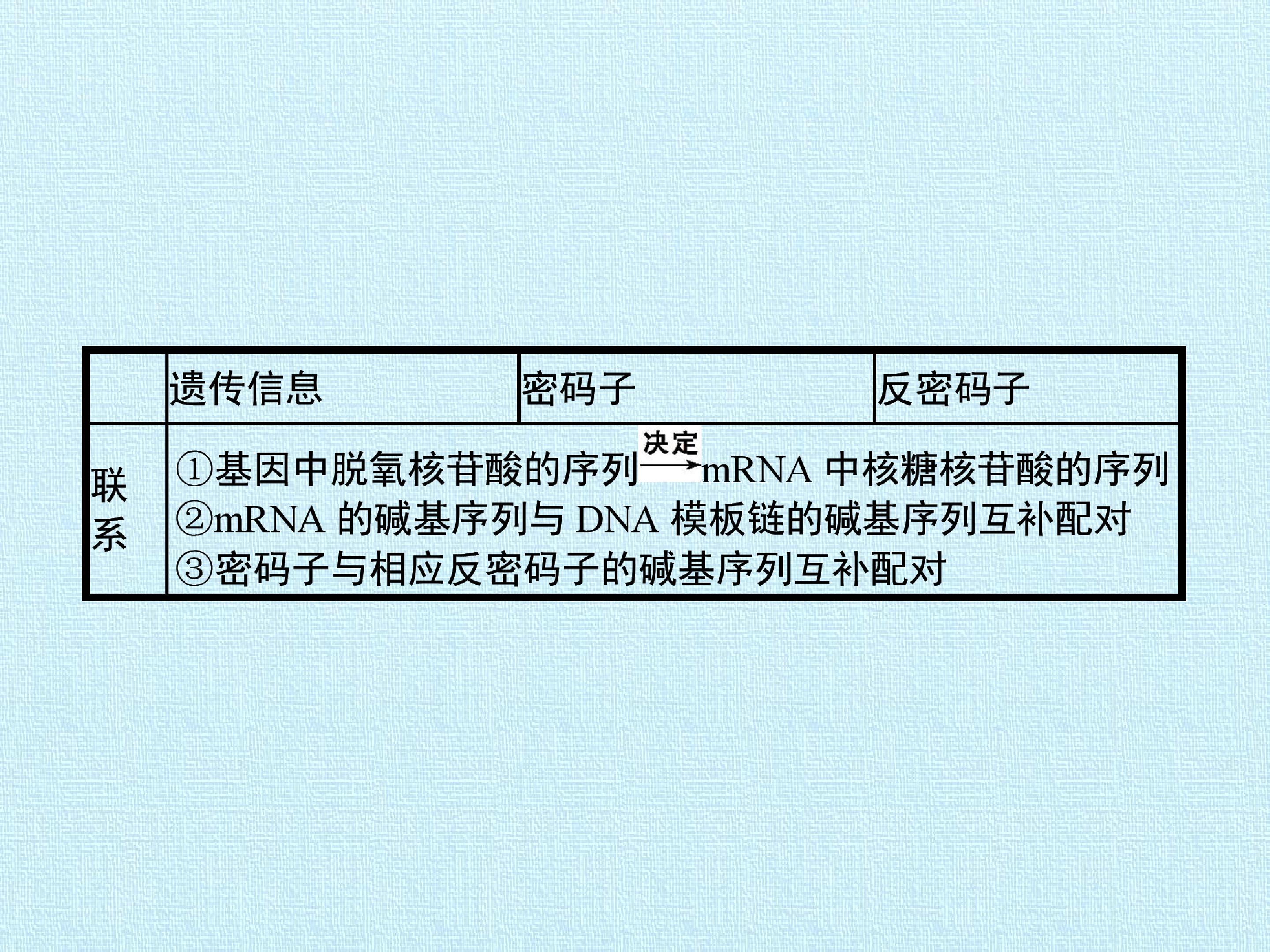 95.jpg