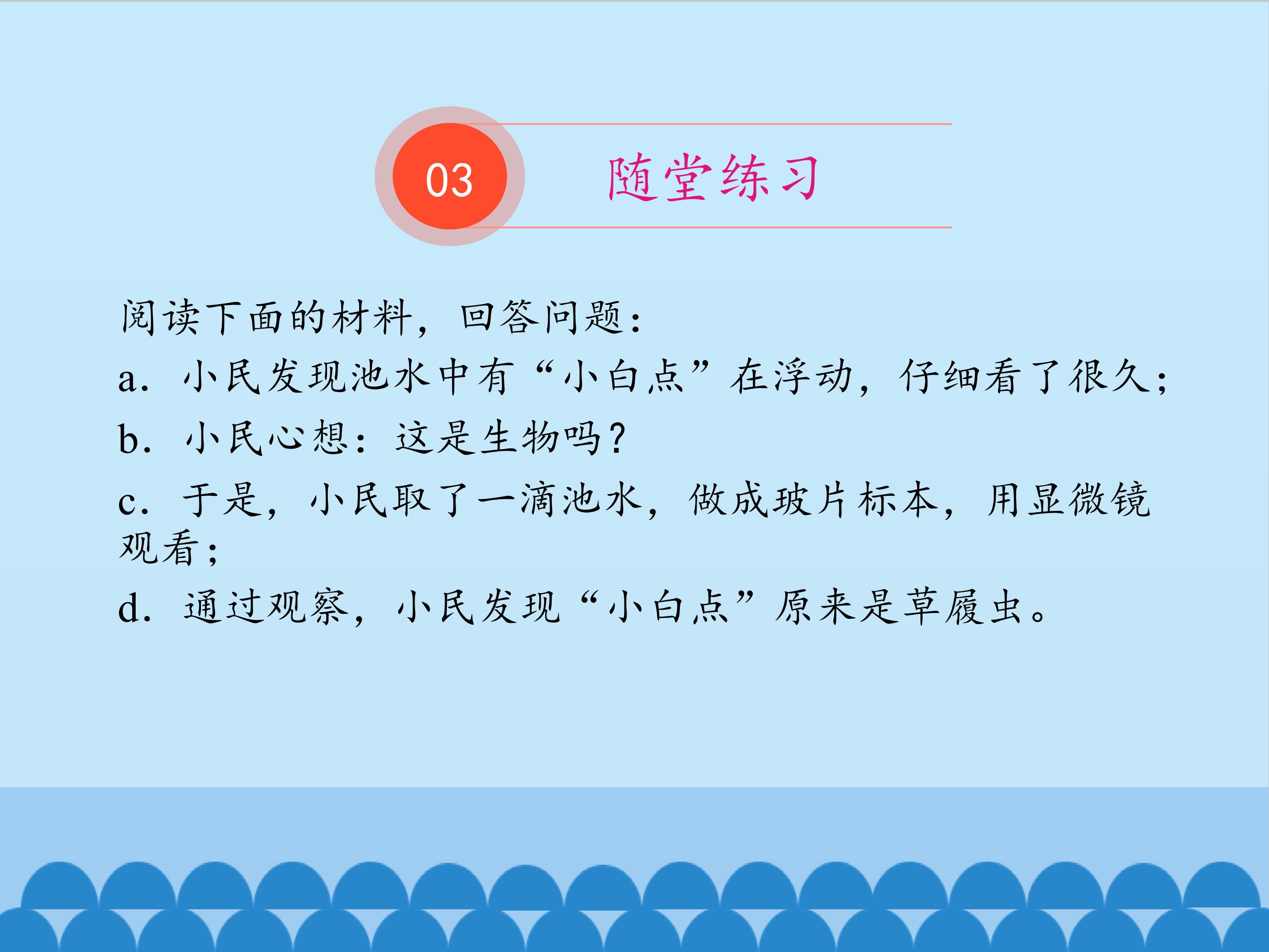 15.jpg