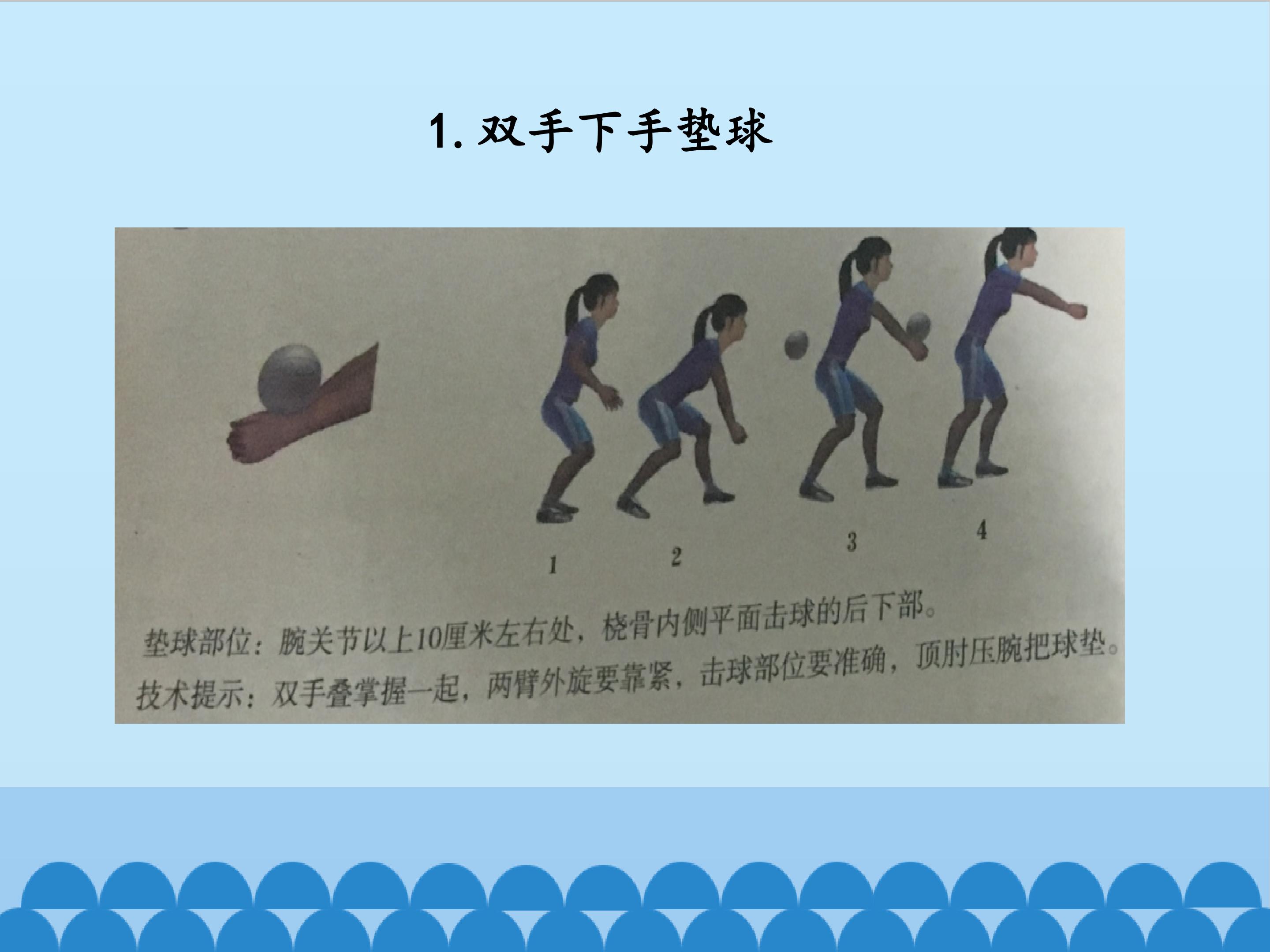 5.jpg