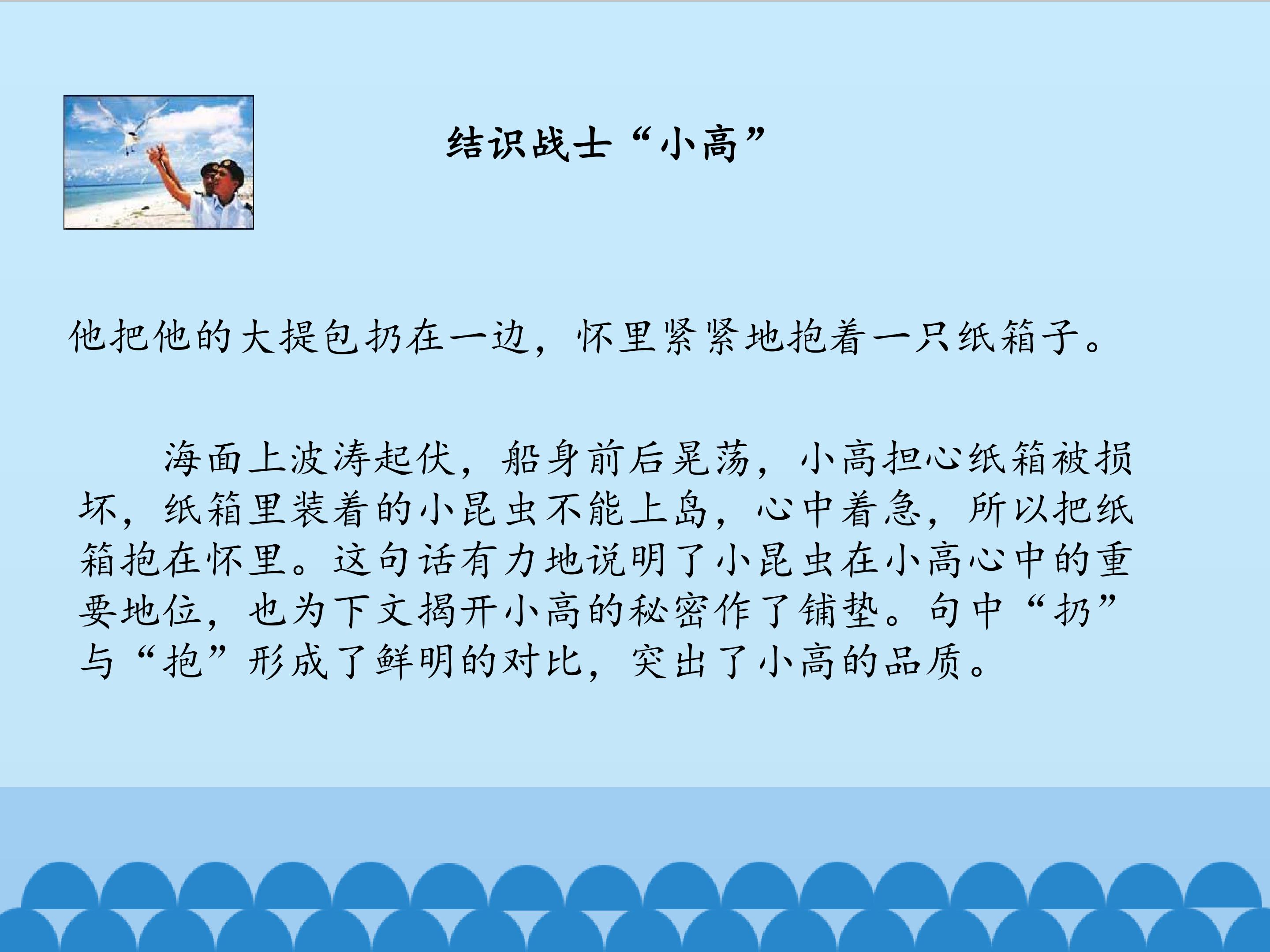 15.jpg