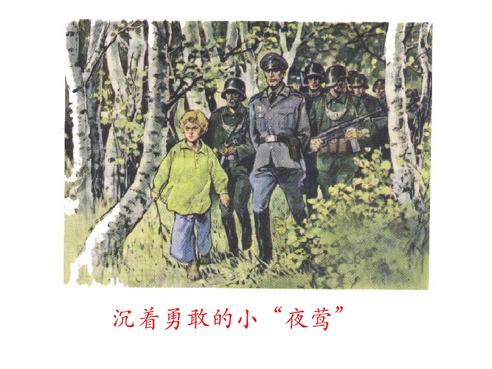 11.jpg