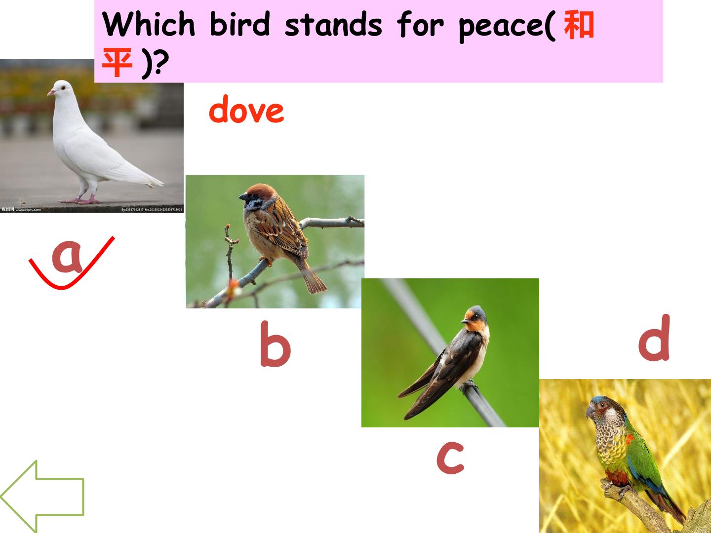 36.jpg