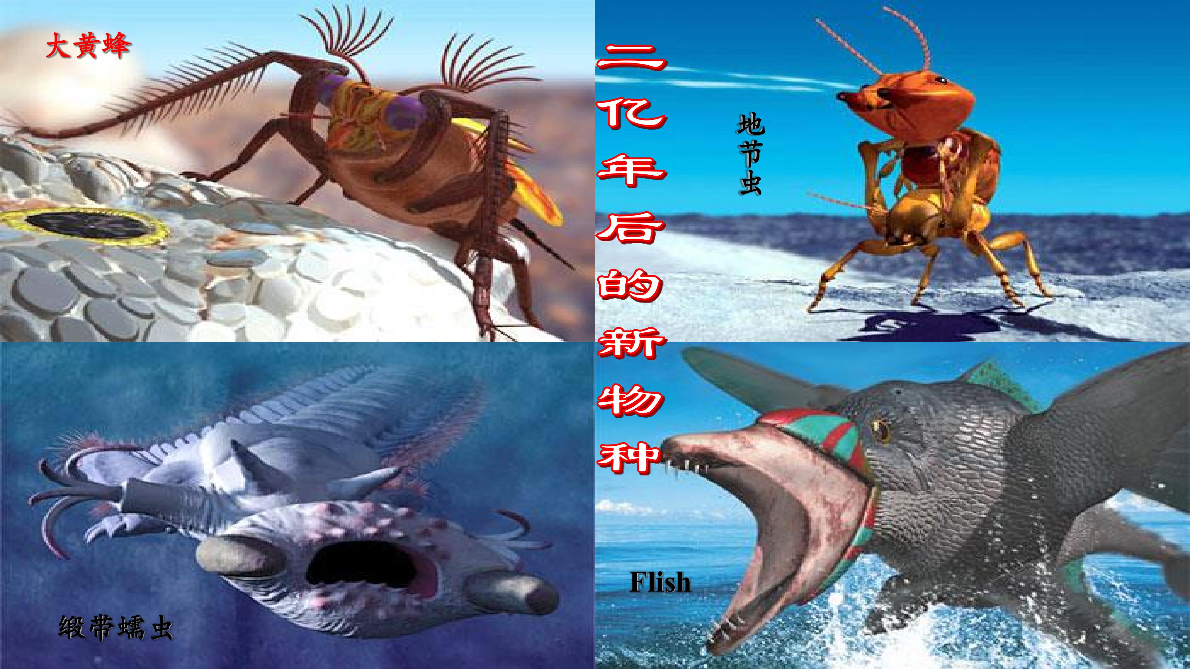 42.jpg