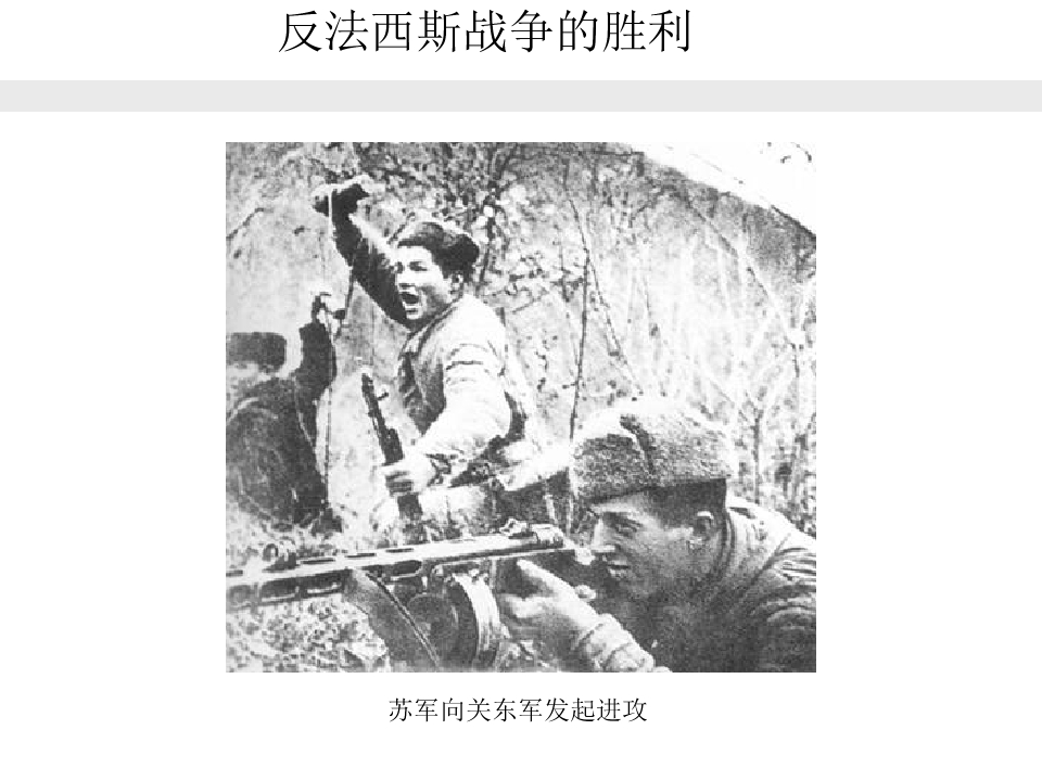 46.jpg