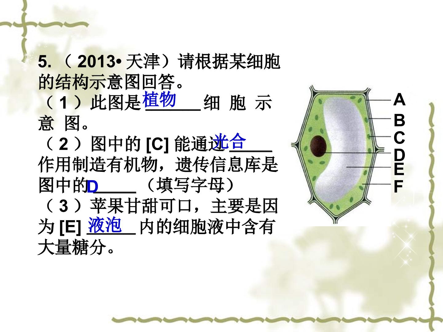 18.jpg