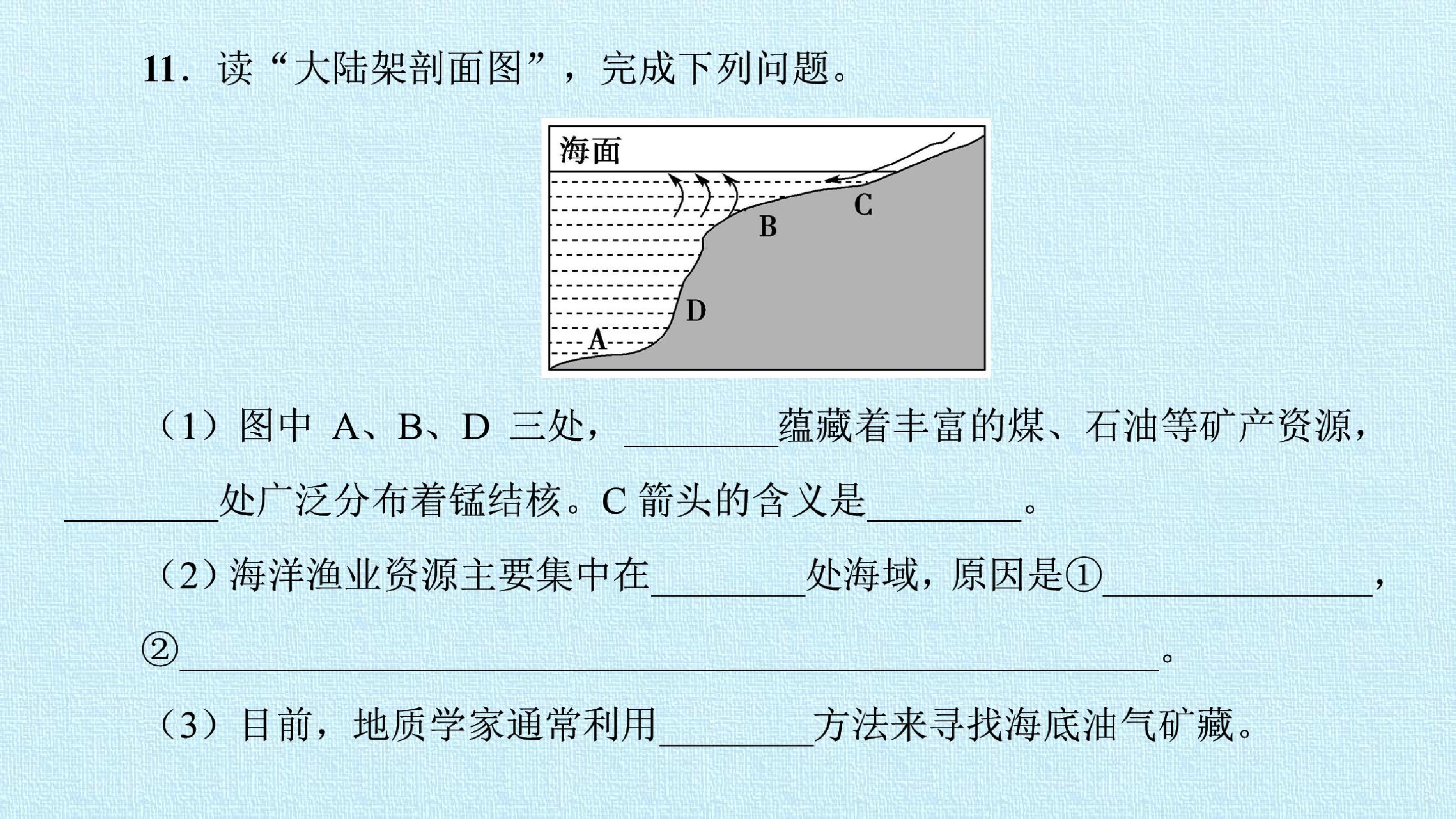 95.jpg