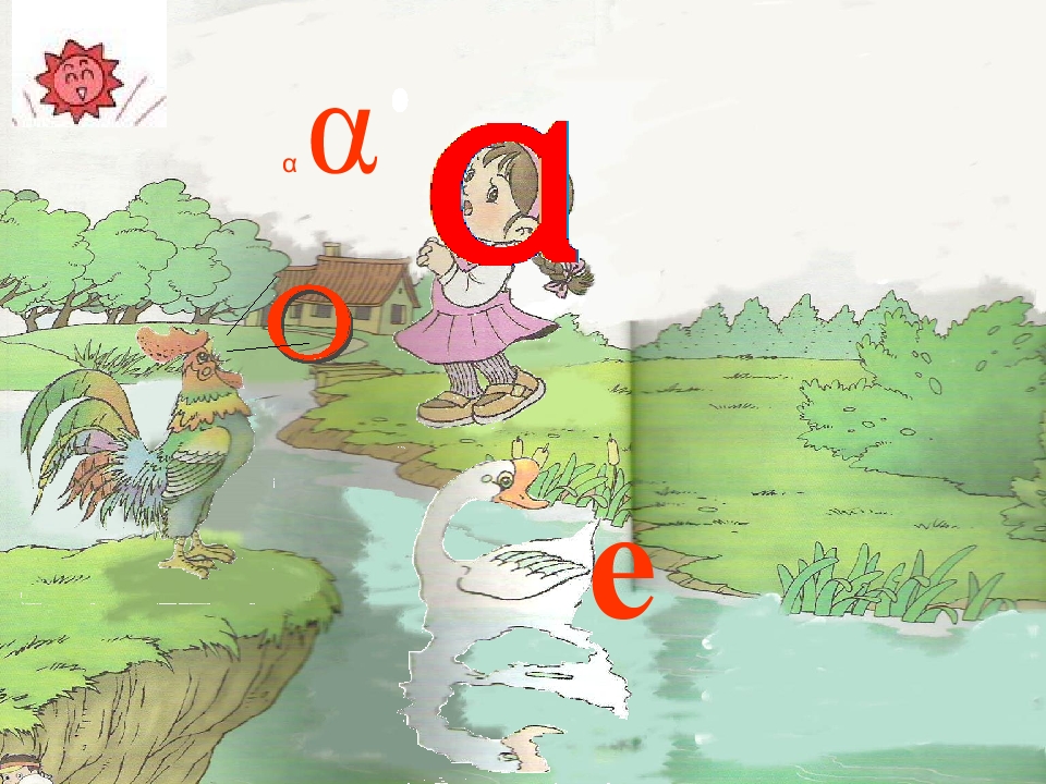2.jpg(17)