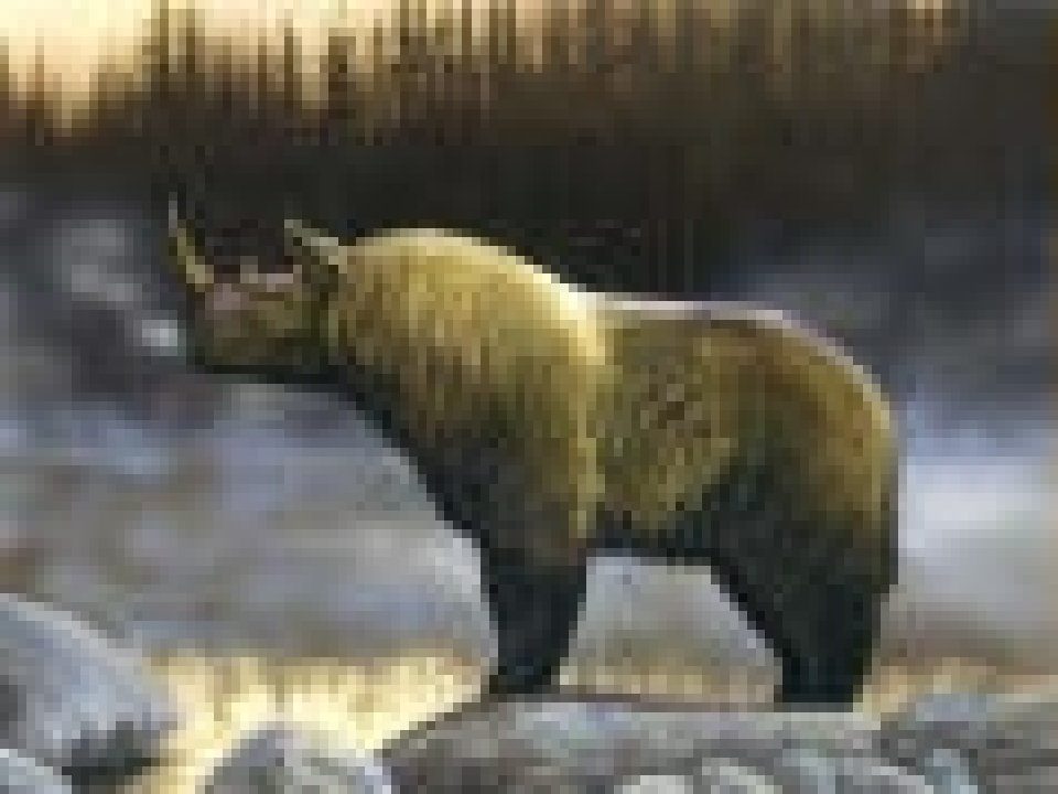 54.jpg