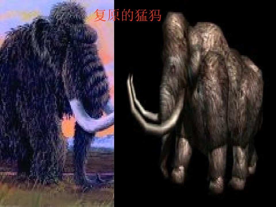 58.jpg