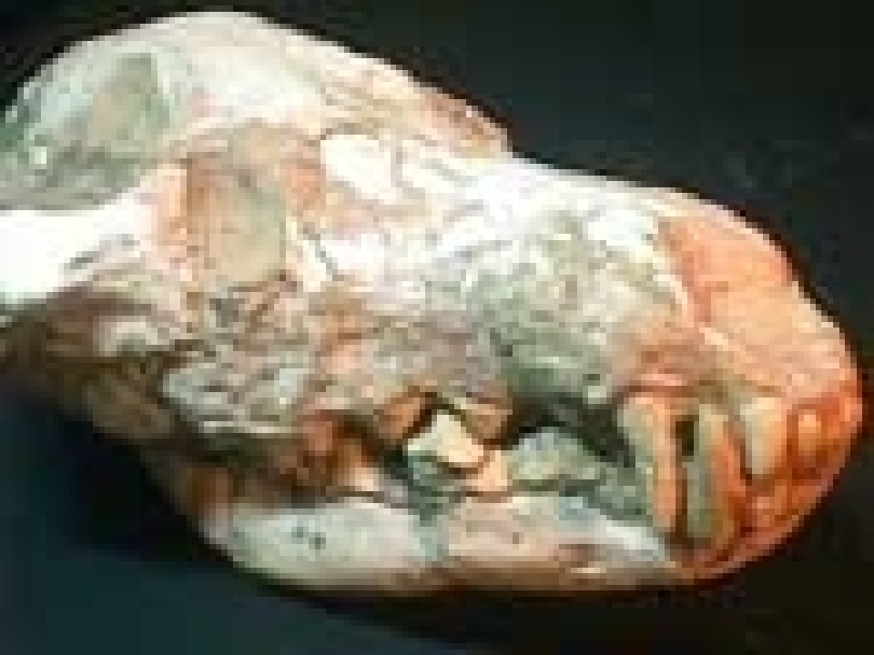 59.jpg