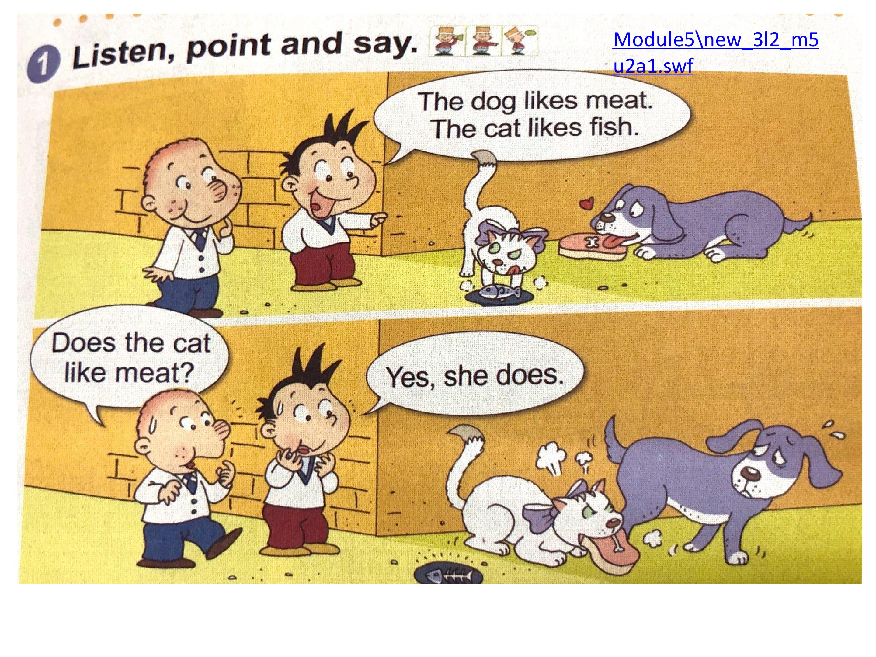 5.jpg