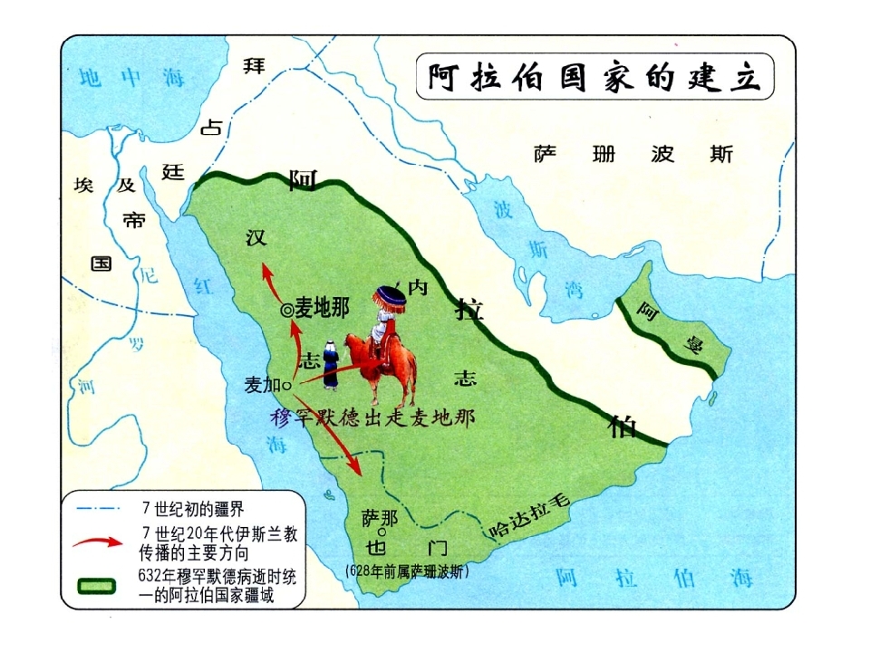 13.jpg