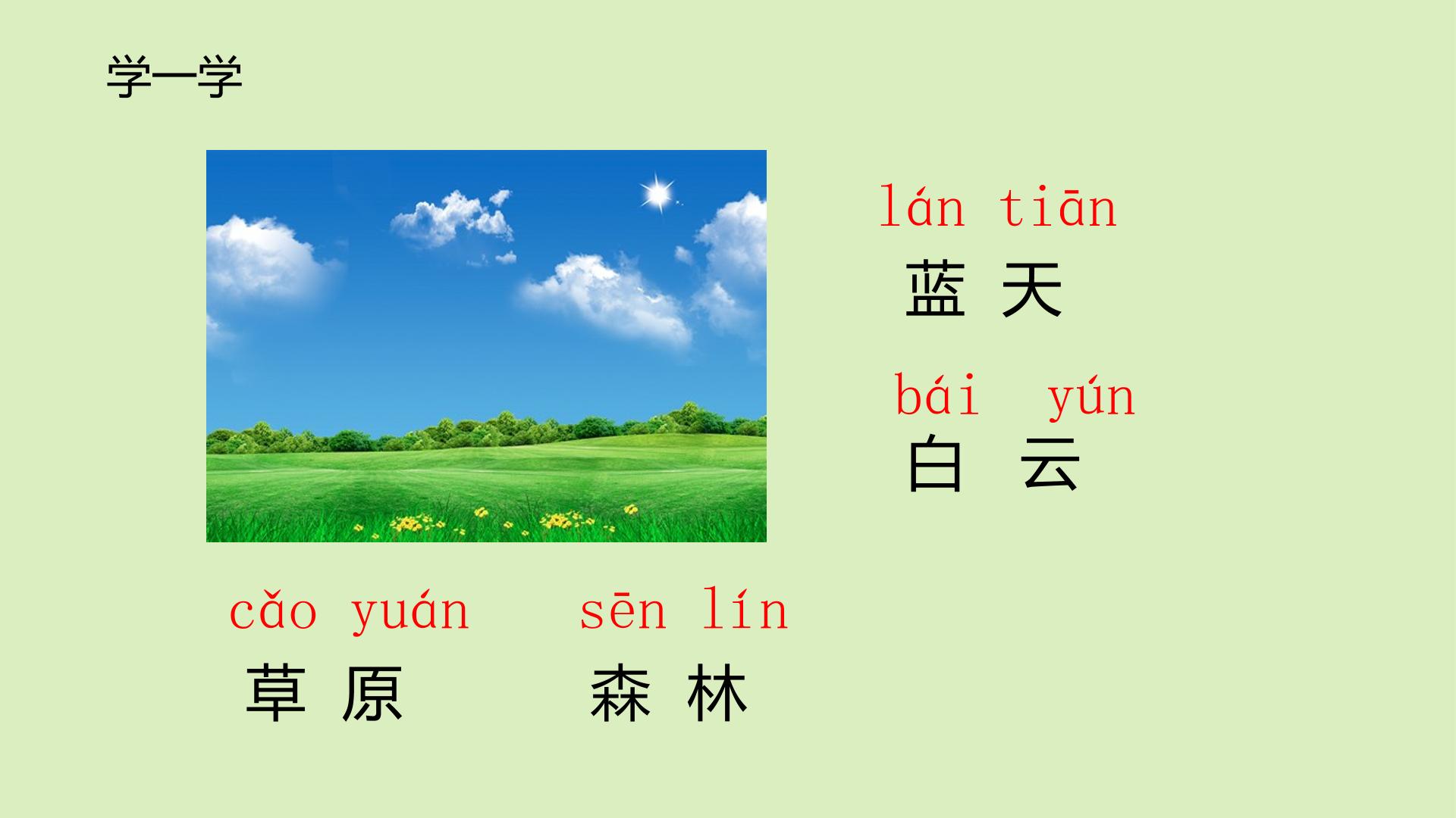 13.jpg